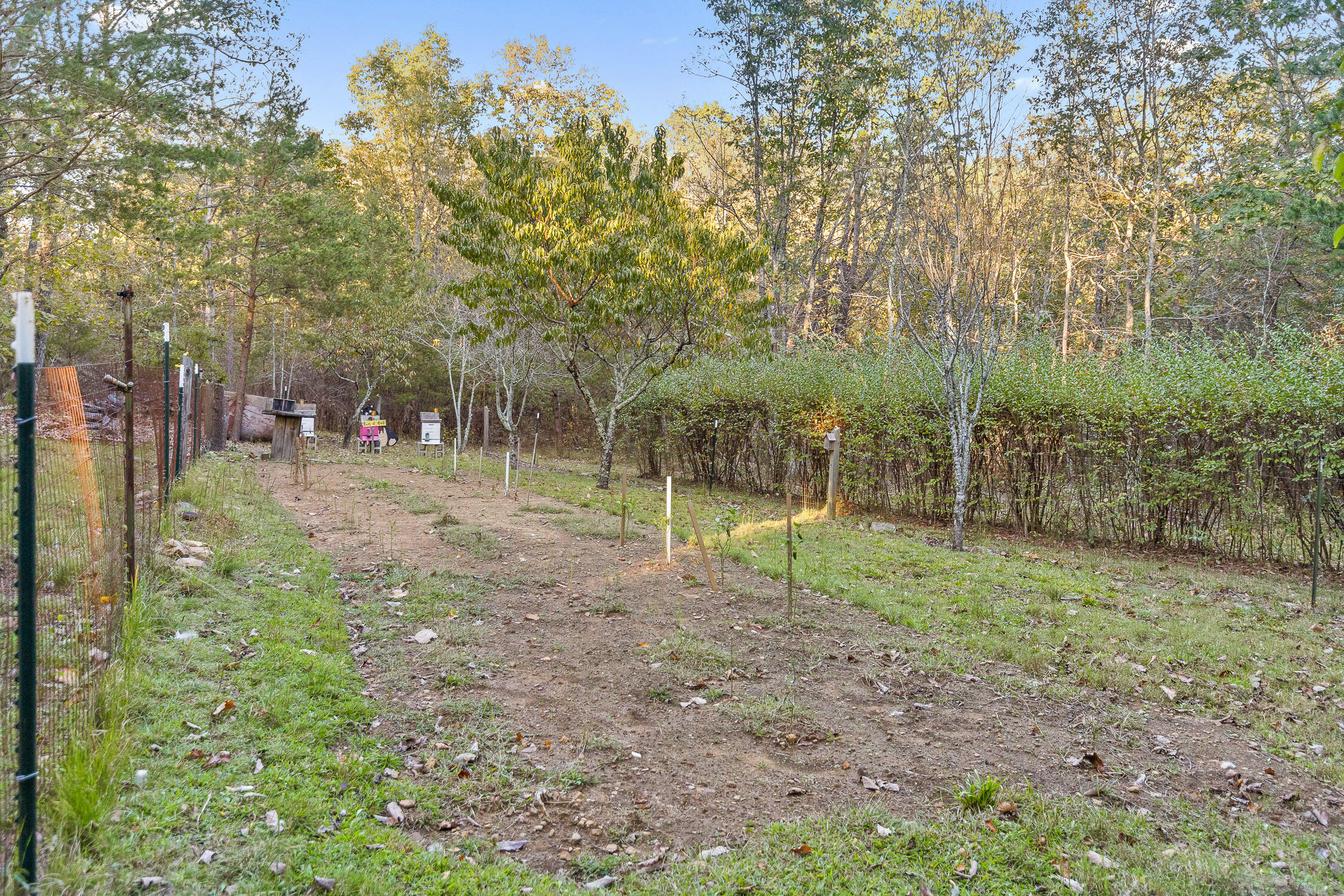 695 S Moore Road, Rising Fawn, Georgia image 7