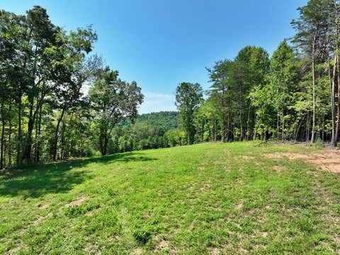Vacant Land For Sale - 521 Norton Road<br/> Ten Mile, TN 37880