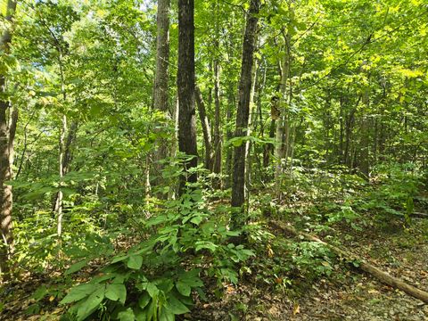 Tiny photo for 7.21 L Swafford Road, Pikeville, TN 37367 (MLS # 1510549)