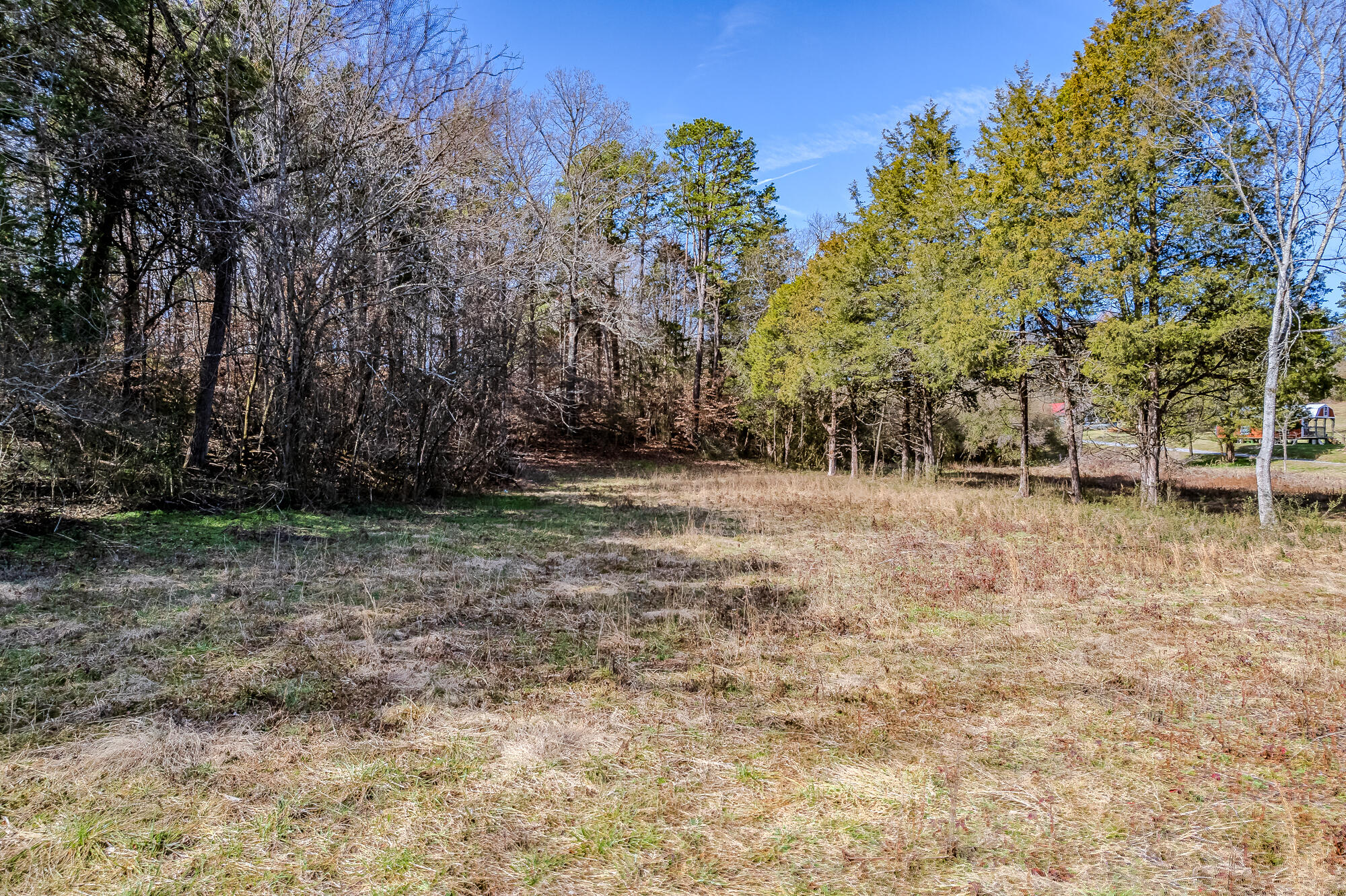 16 Acres Highway 58, Ten Mile, Tennessee image 5