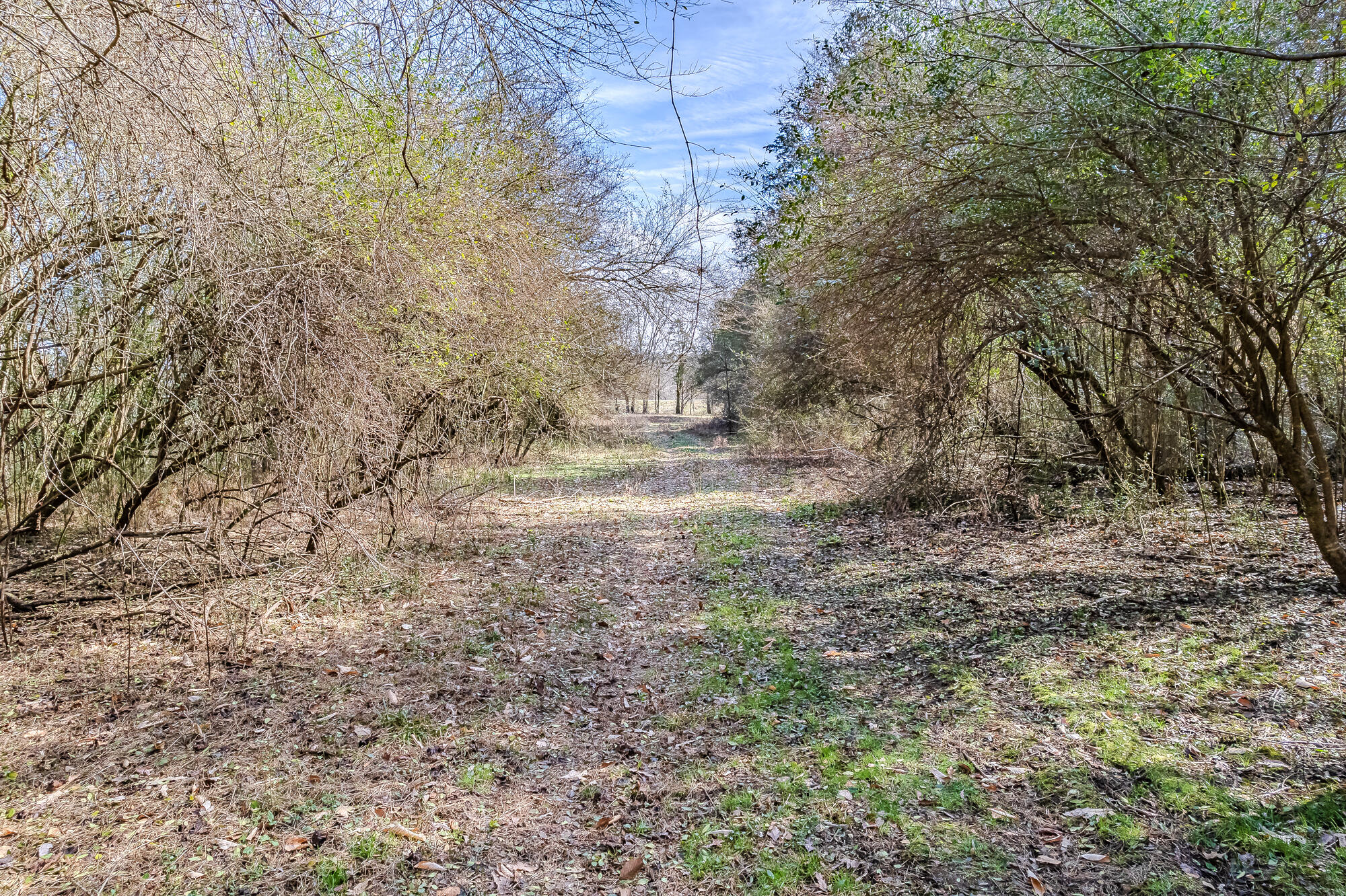 16 Acres Highway 58, Ten Mile, Tennessee image 14