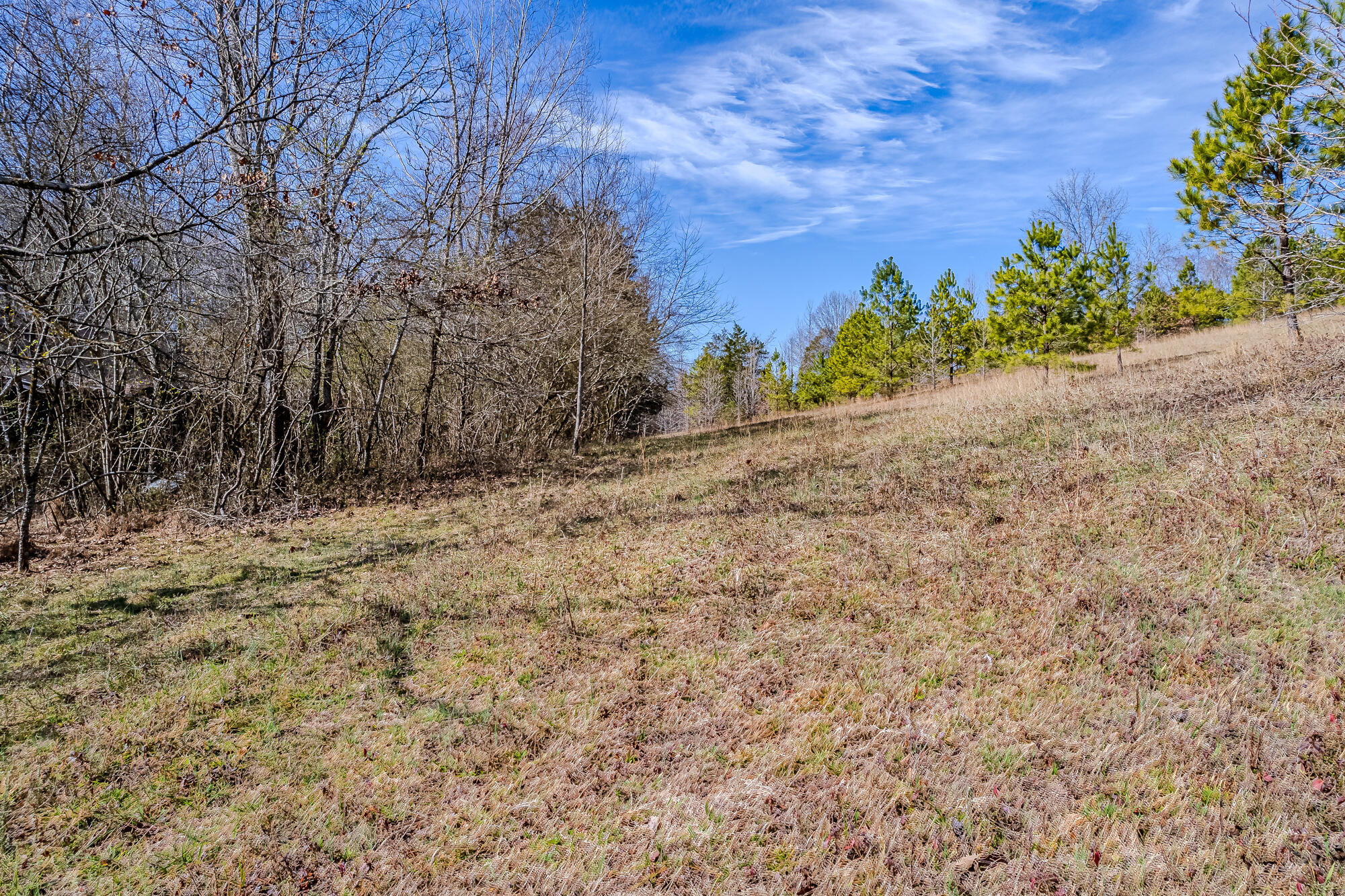 16 Acres Highway 58, Ten Mile, Tennessee image 4