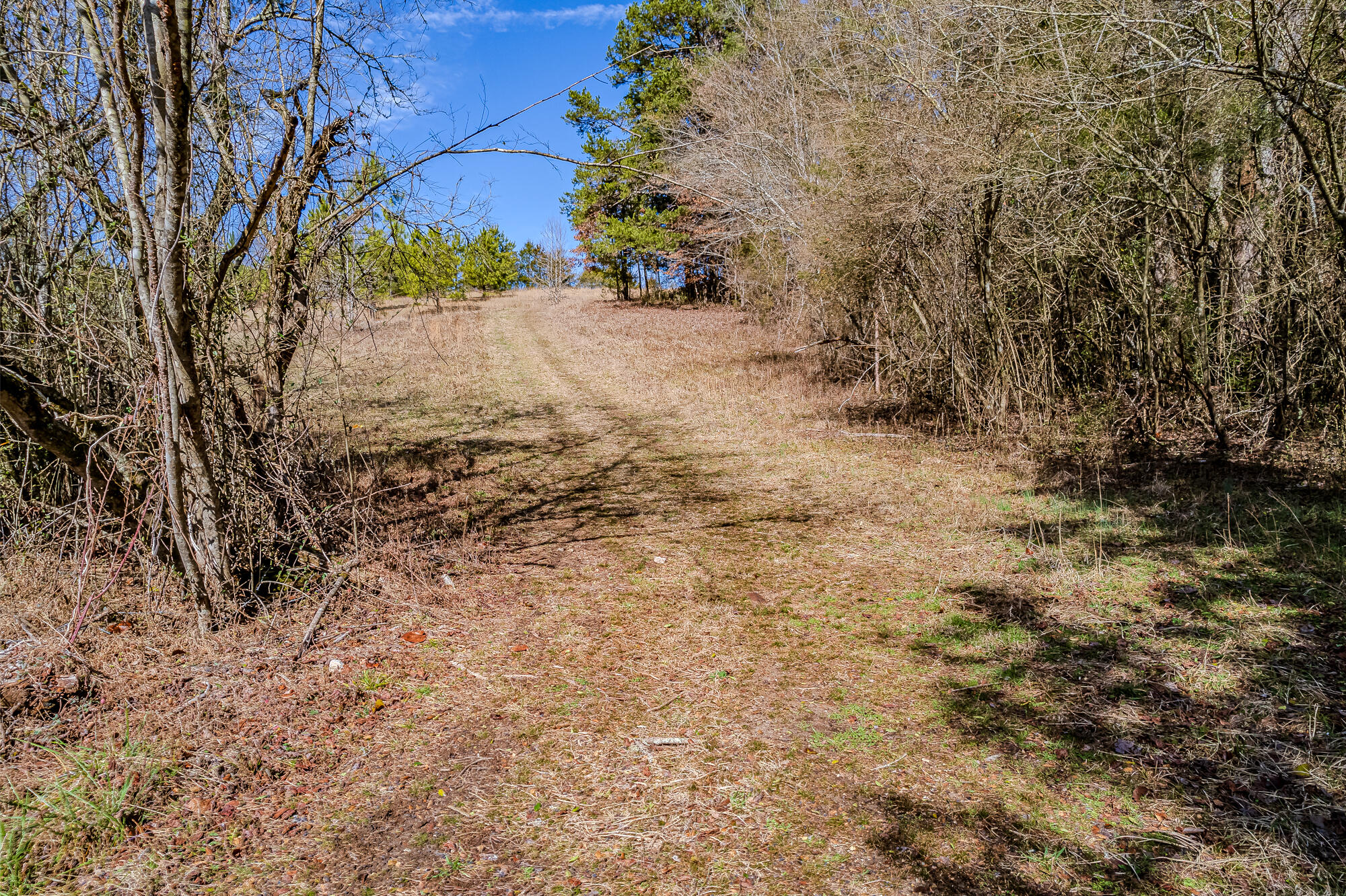 16 Acres Highway 58, Ten Mile, Tennessee image 13