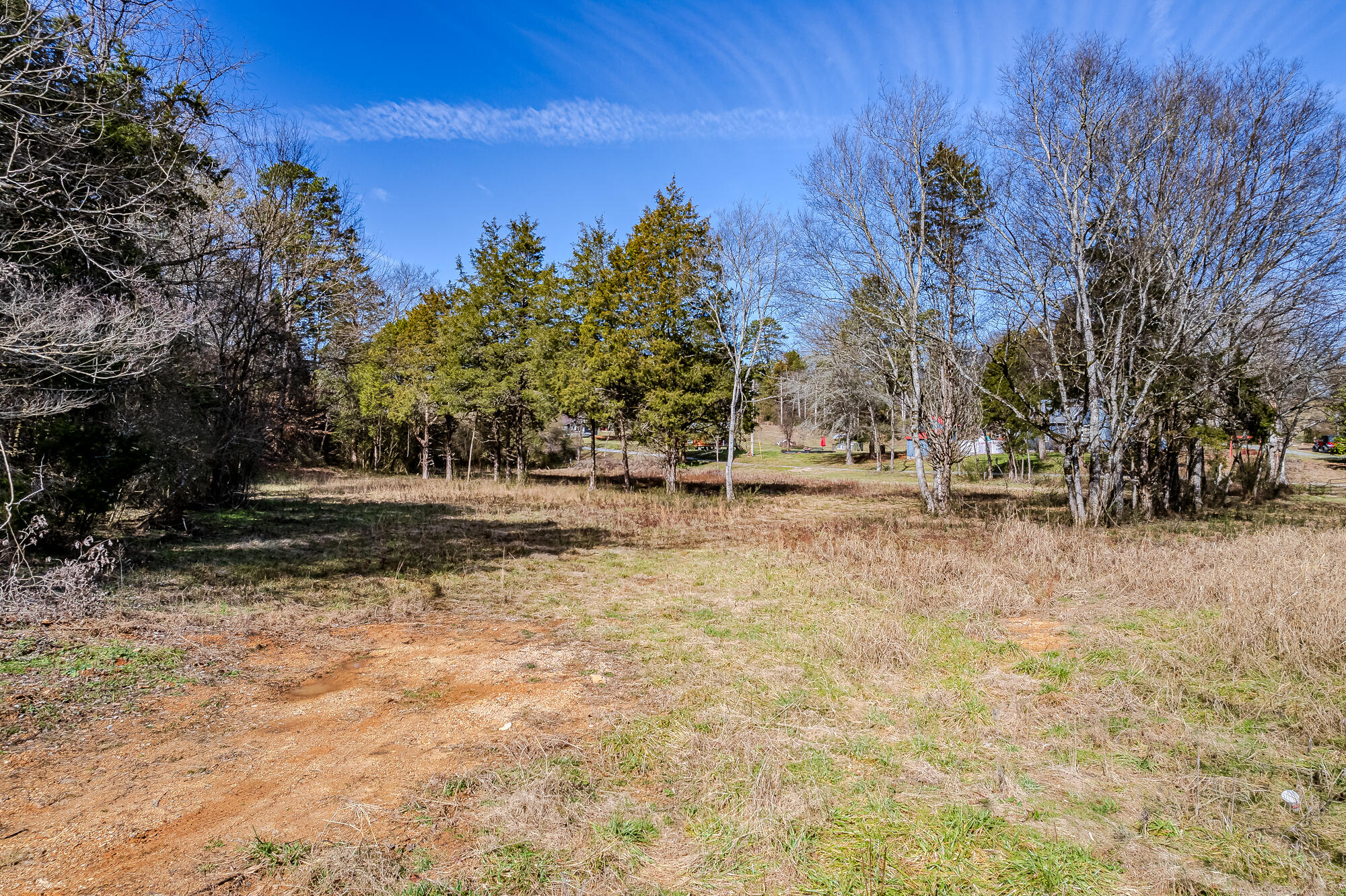 16 Acres Highway 58, Ten Mile, Tennessee image 3