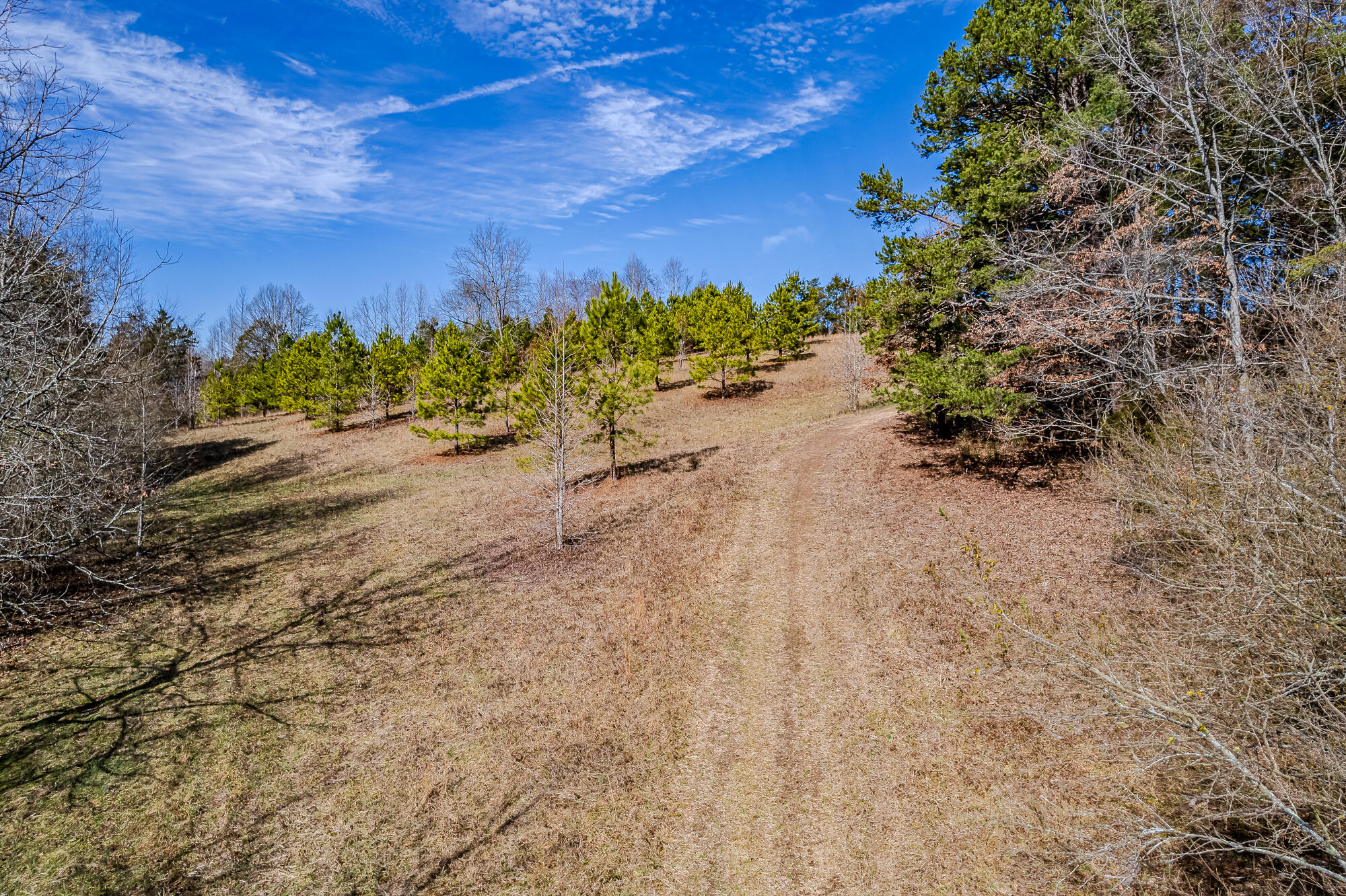 16 Acres Highway 58, Ten Mile, Tennessee image 6