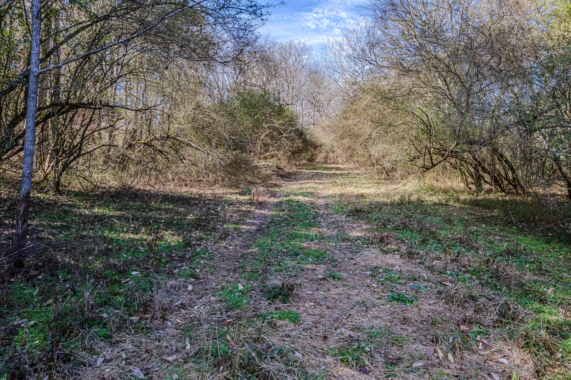 16 Acres Highway 58, Ten Mile, Tennessee image 23