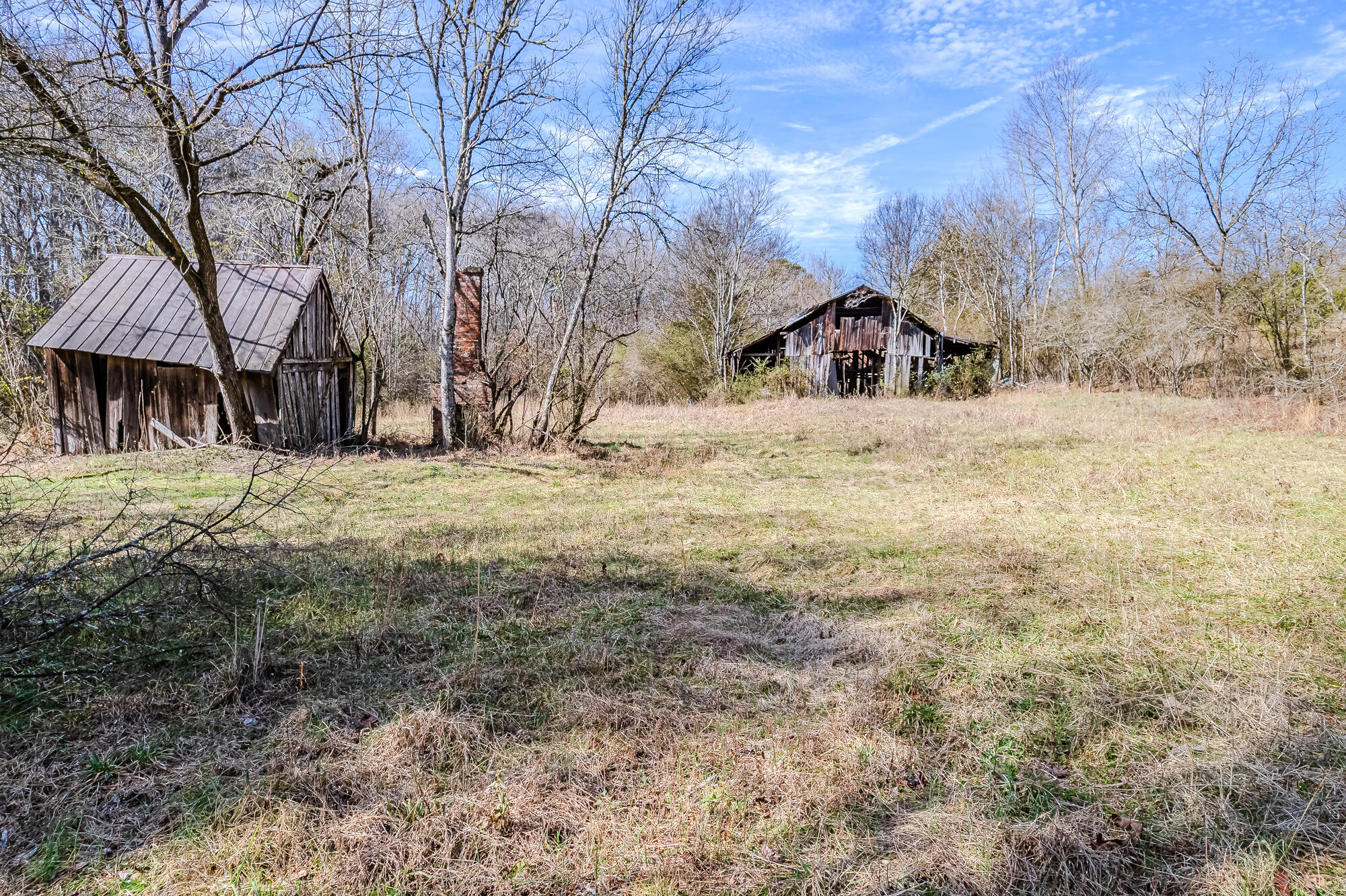 16 Acres Highway 58, Ten Mile, Tennessee image 11