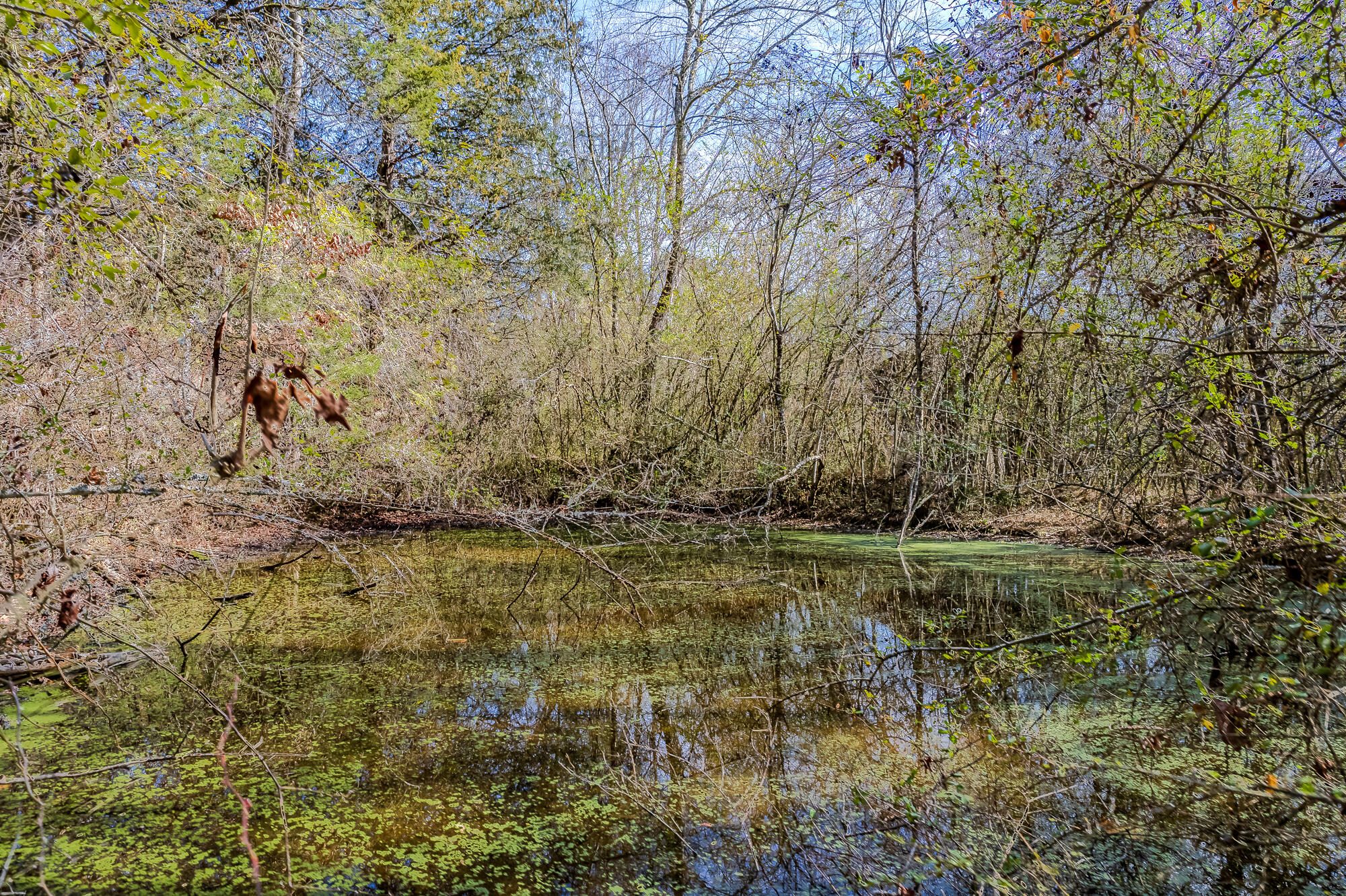 16 Acres Highway 58, Ten Mile, Tennessee image 8