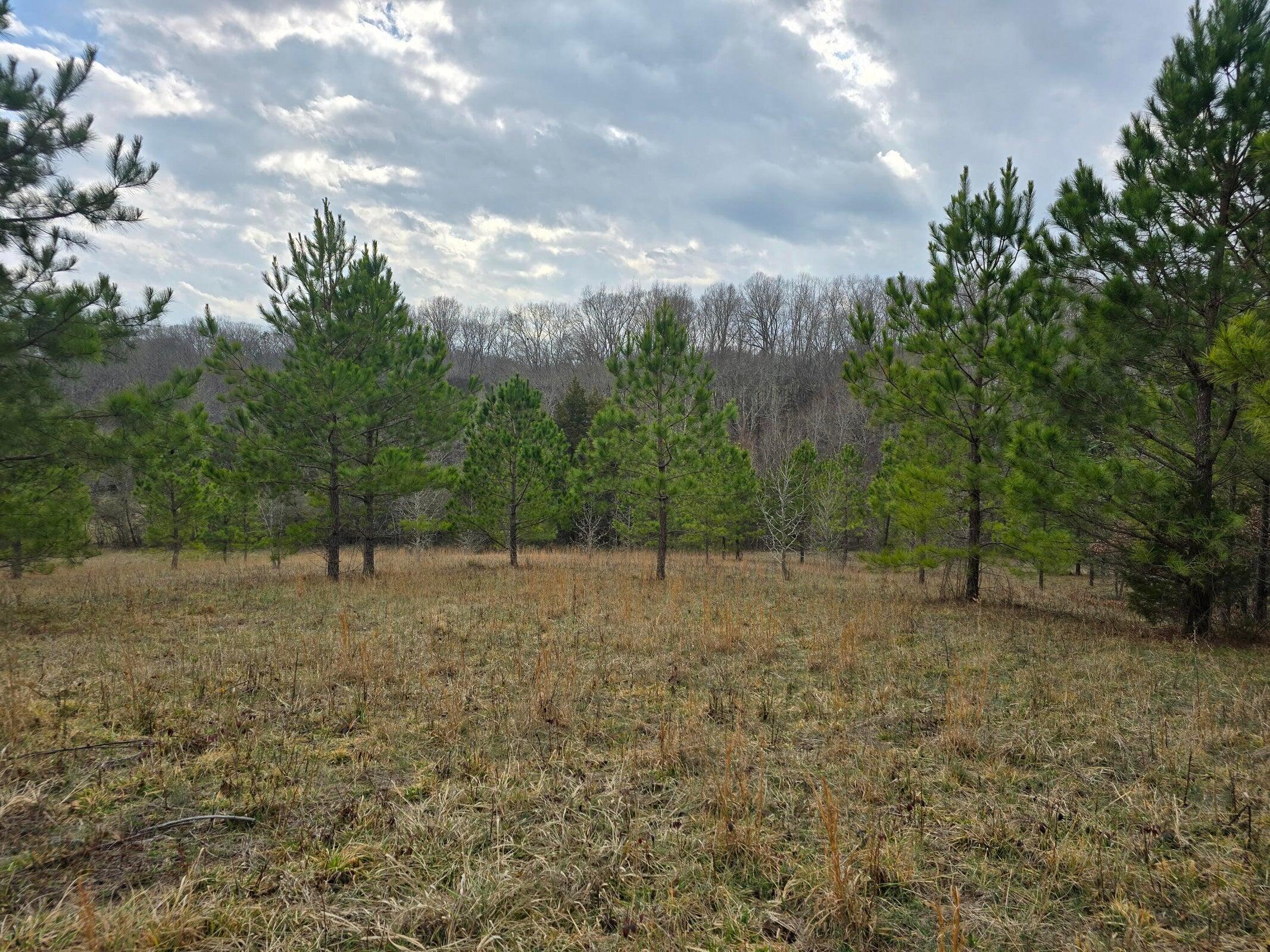 16 Acres Highway 58, Ten Mile, Tennessee image 18