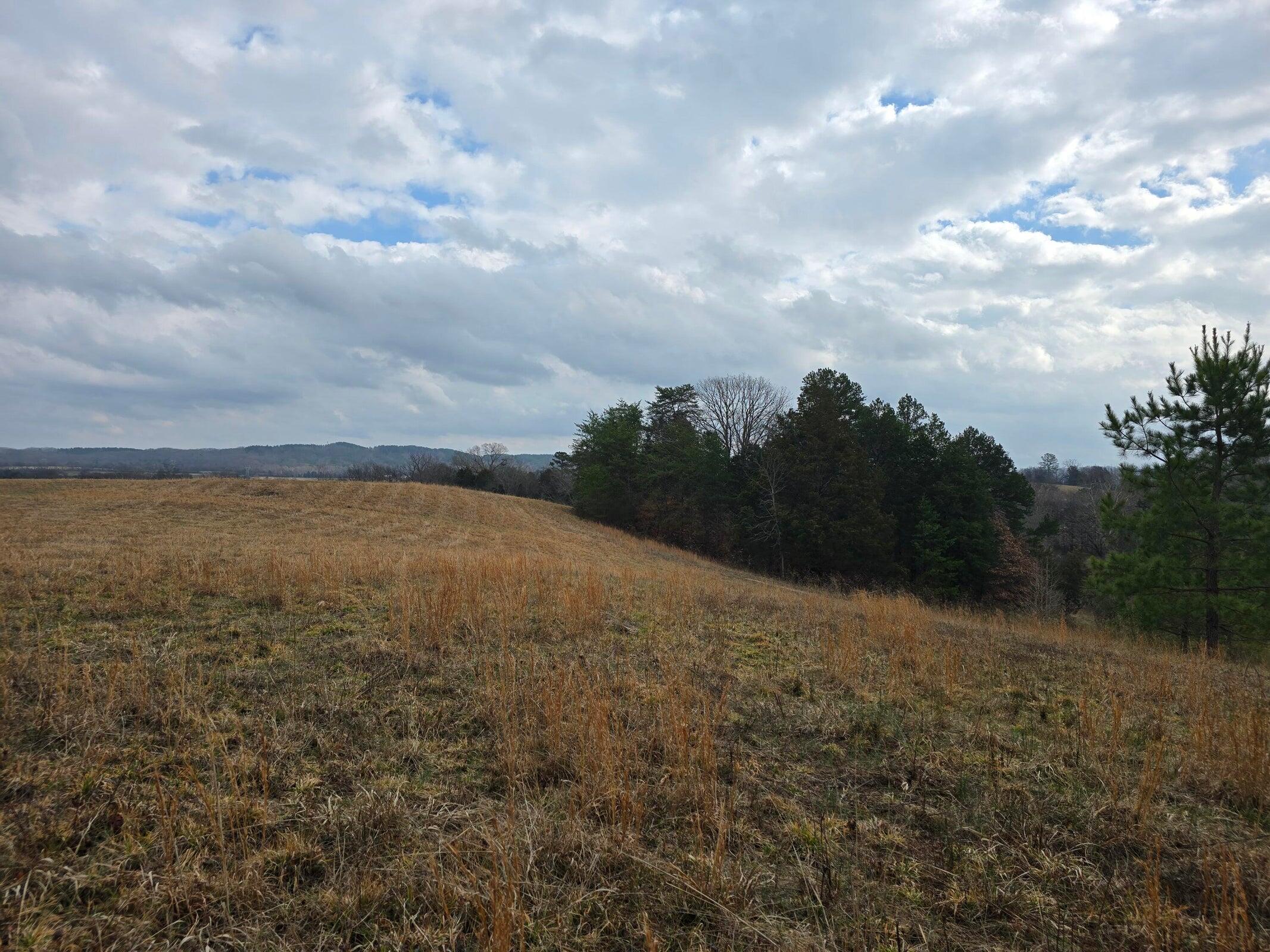 16 Acres Highway 58, Ten Mile, Tennessee image 16