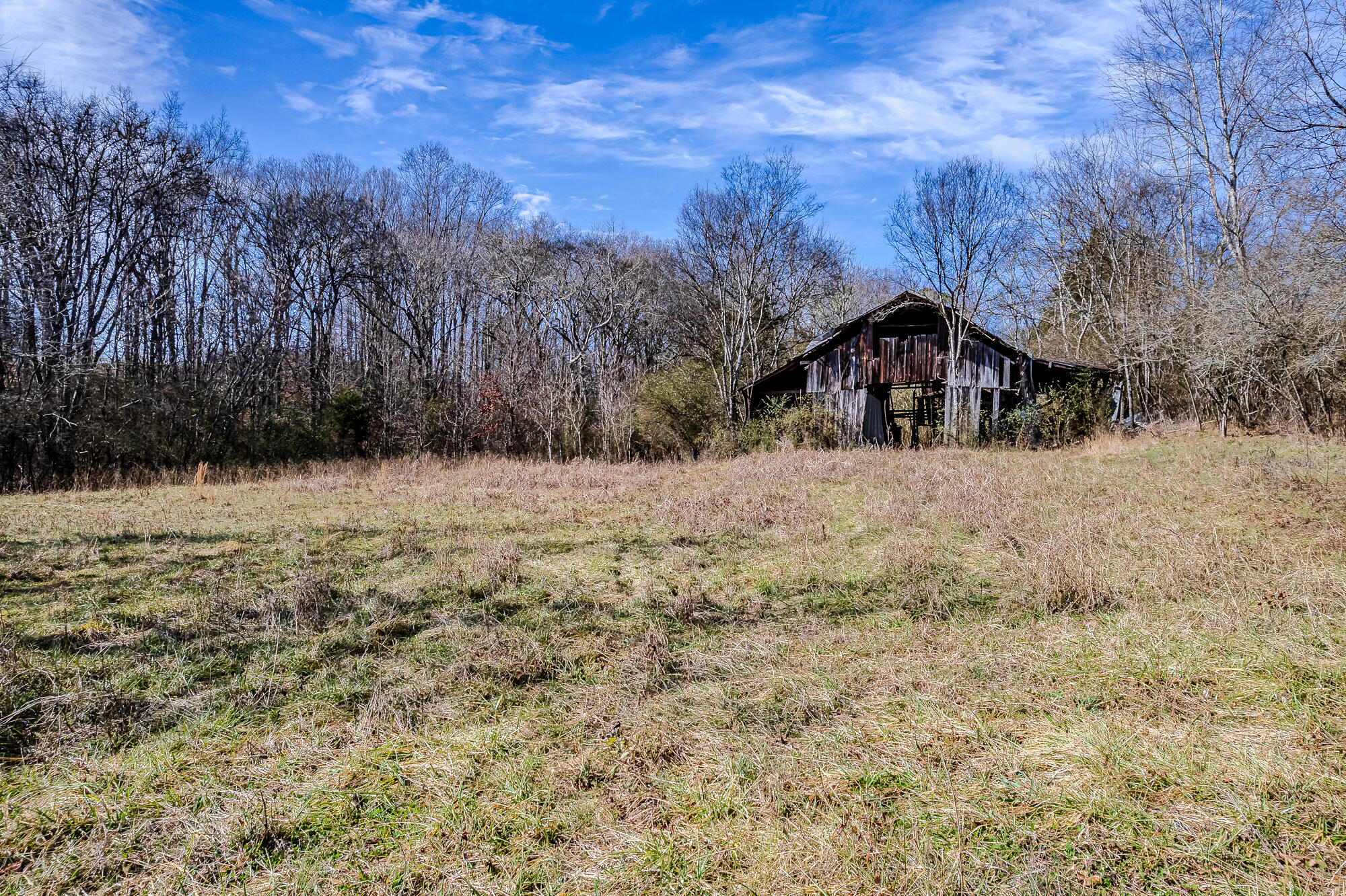 16 Acres Highway 58, Ten Mile, Tennessee image 10