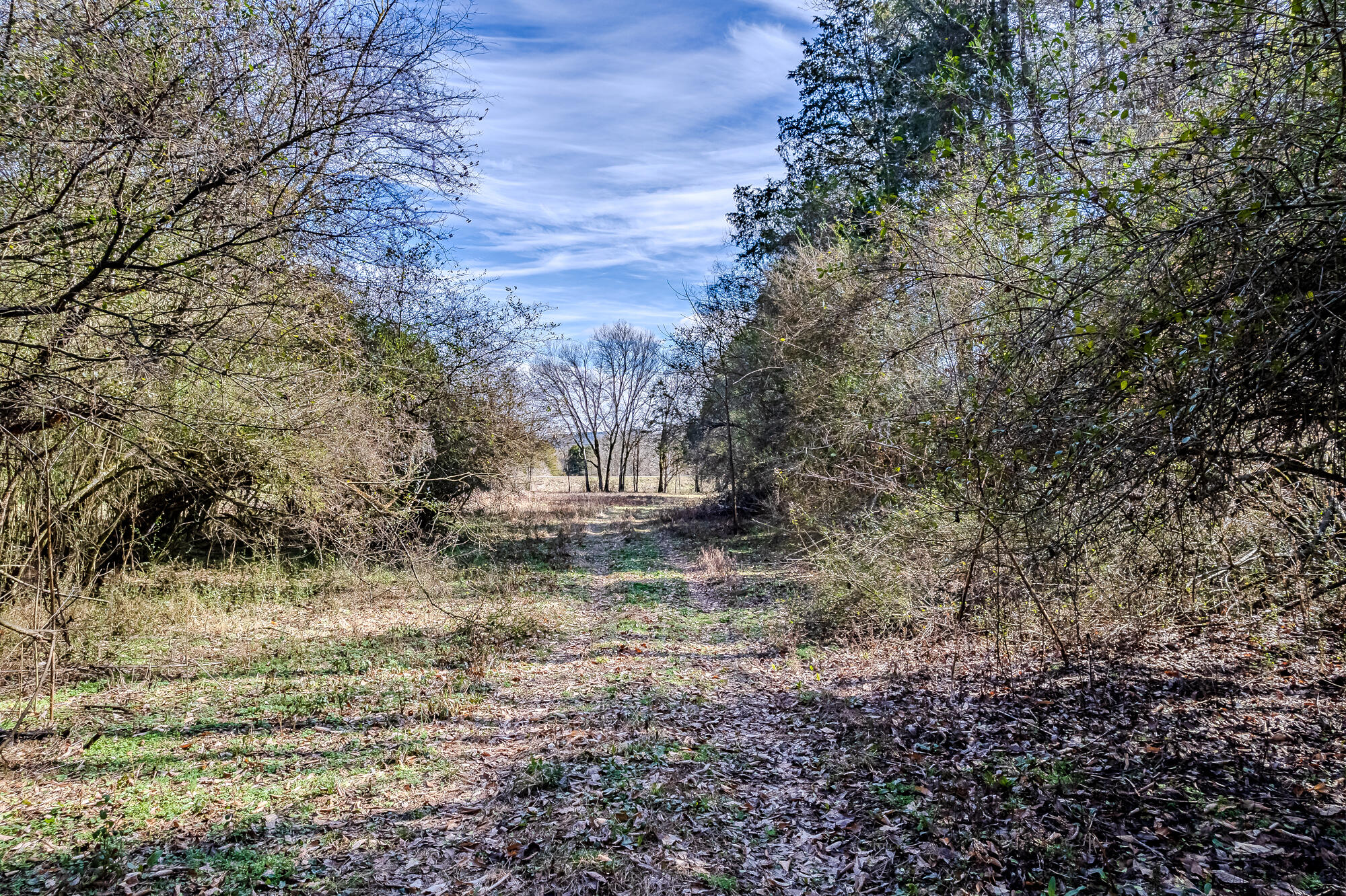 16 Acres Highway 58, Ten Mile, Tennessee image 21