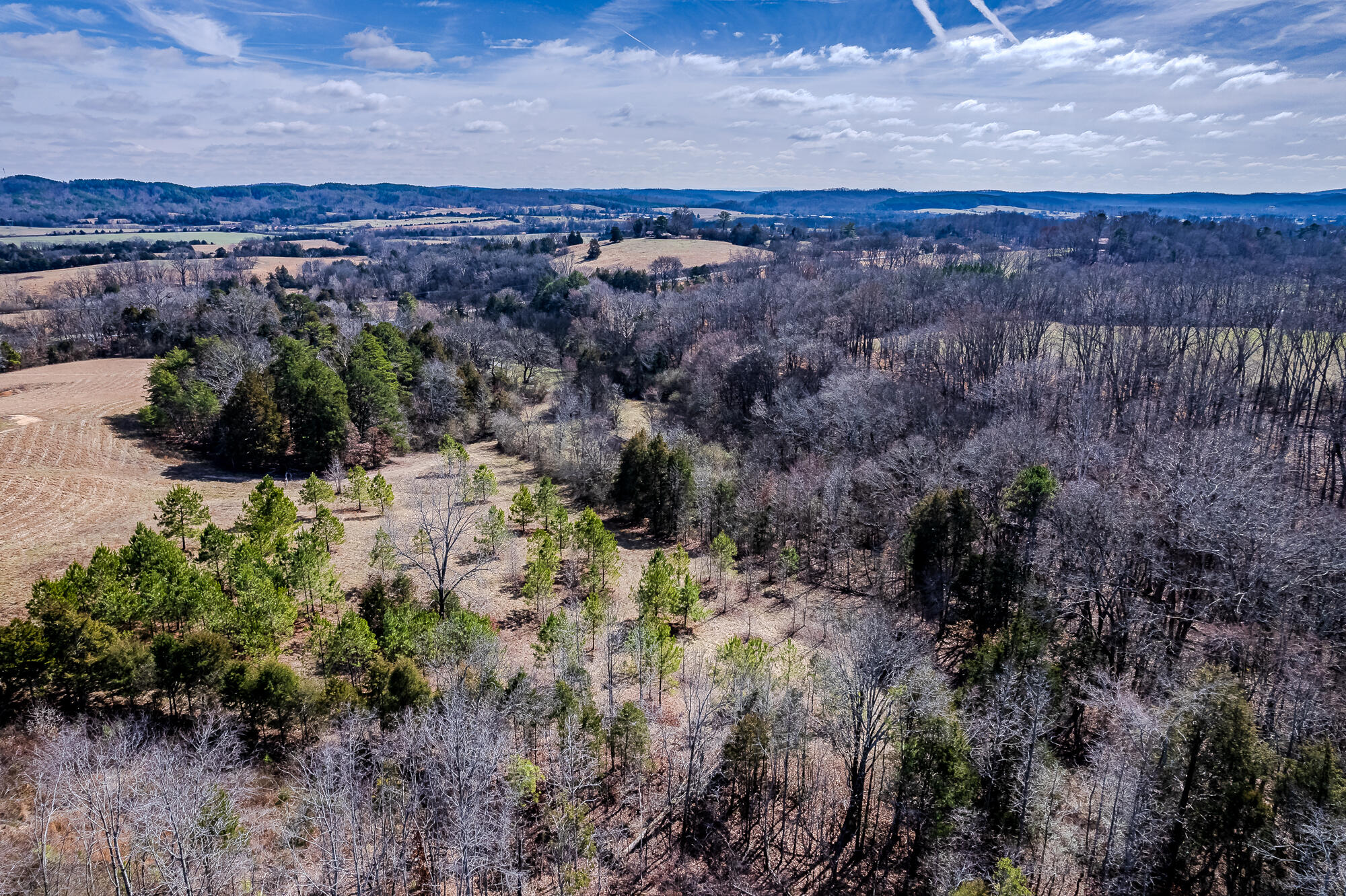 16 Acres Highway 58, Ten Mile, Tennessee image 2