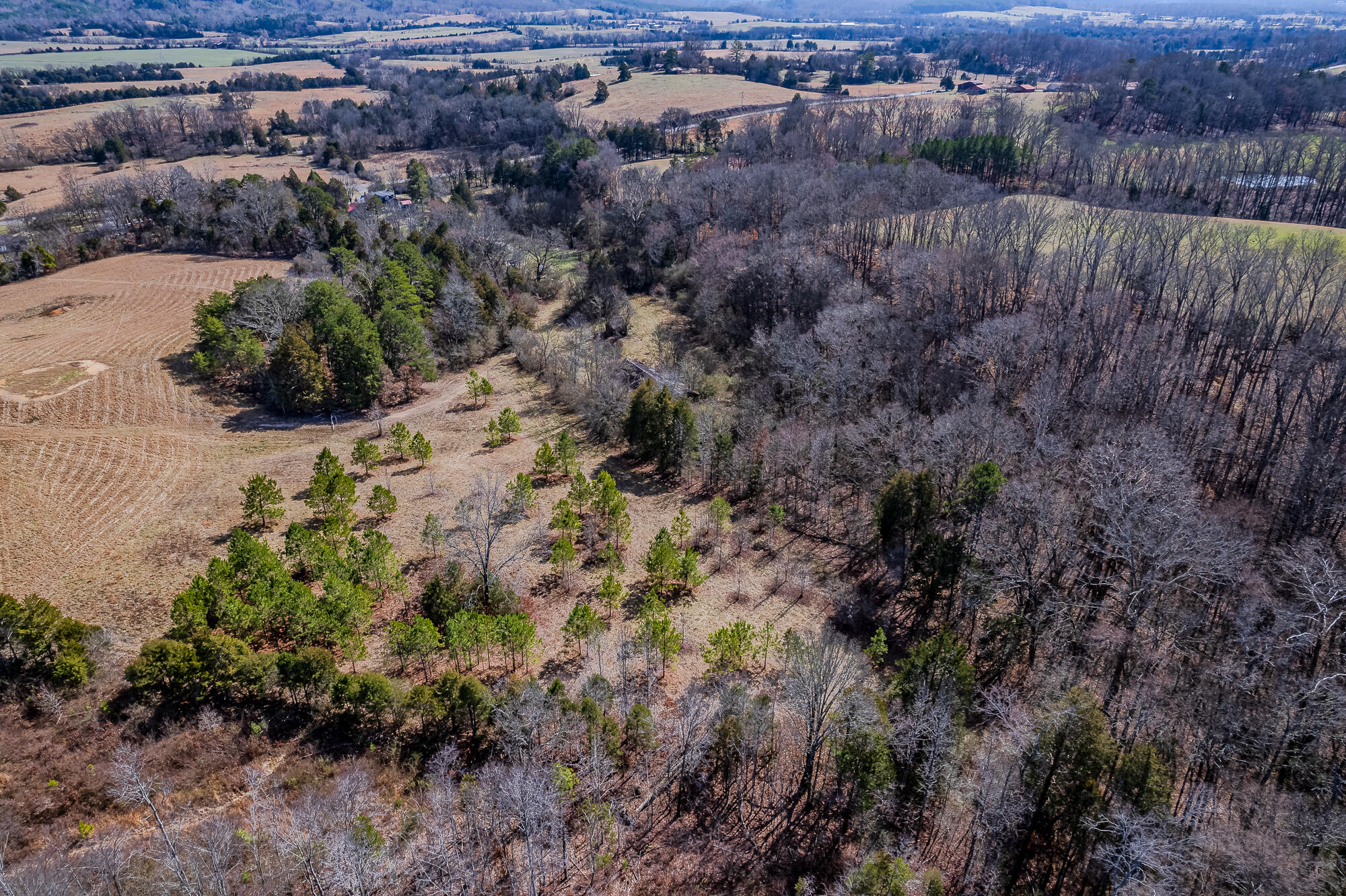 16 Acres Highway 58, Ten Mile, Tennessee image 19