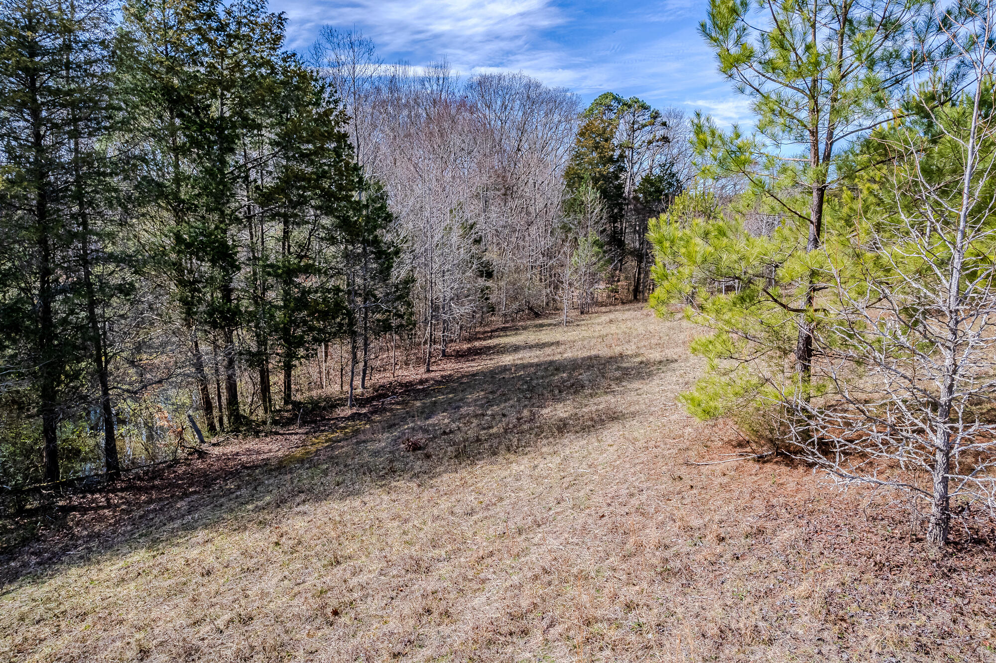 16 Acres Highway 58, Ten Mile, Tennessee image 12