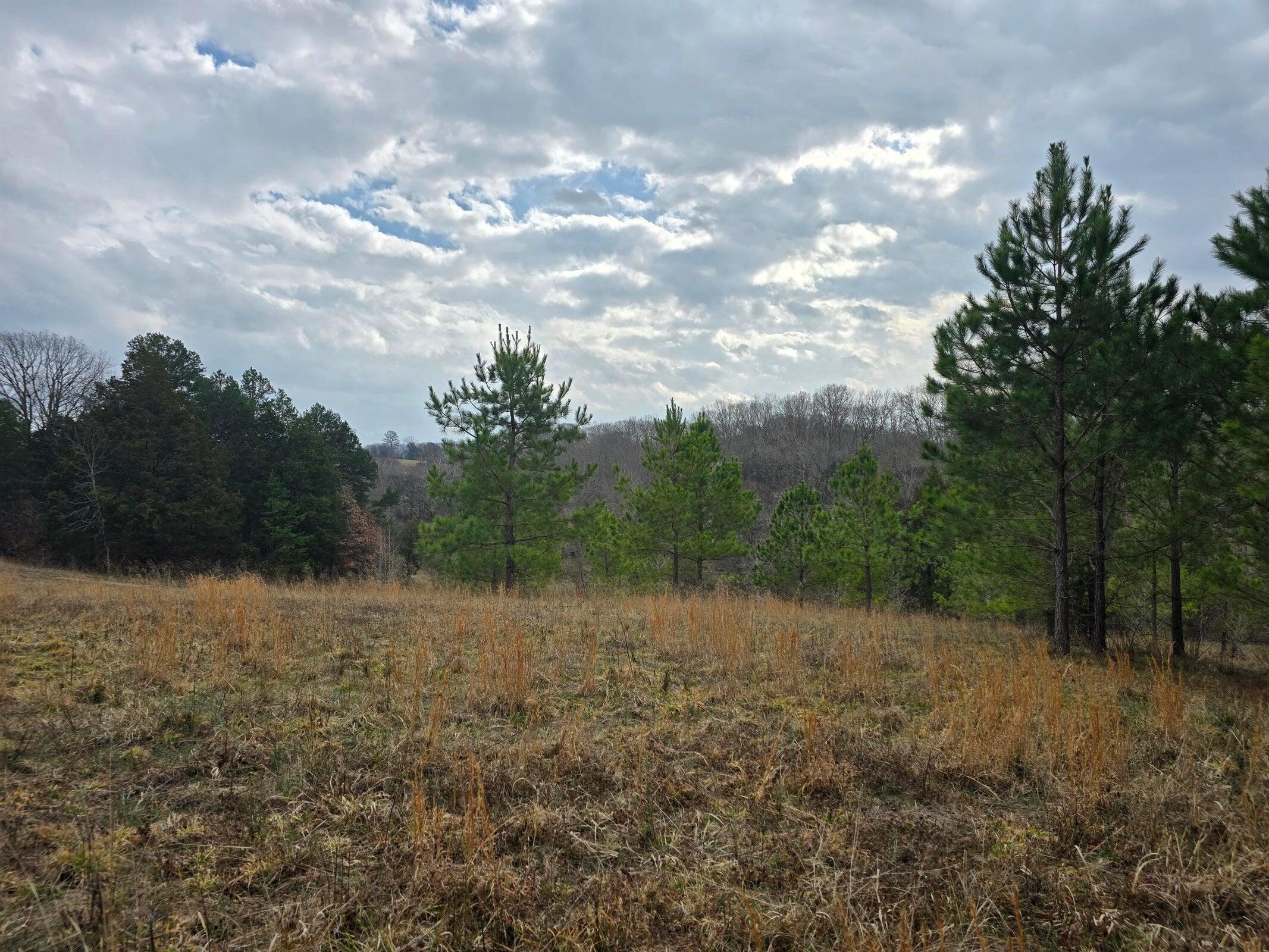 16 Acres Highway 58, Ten Mile, Tennessee image 17