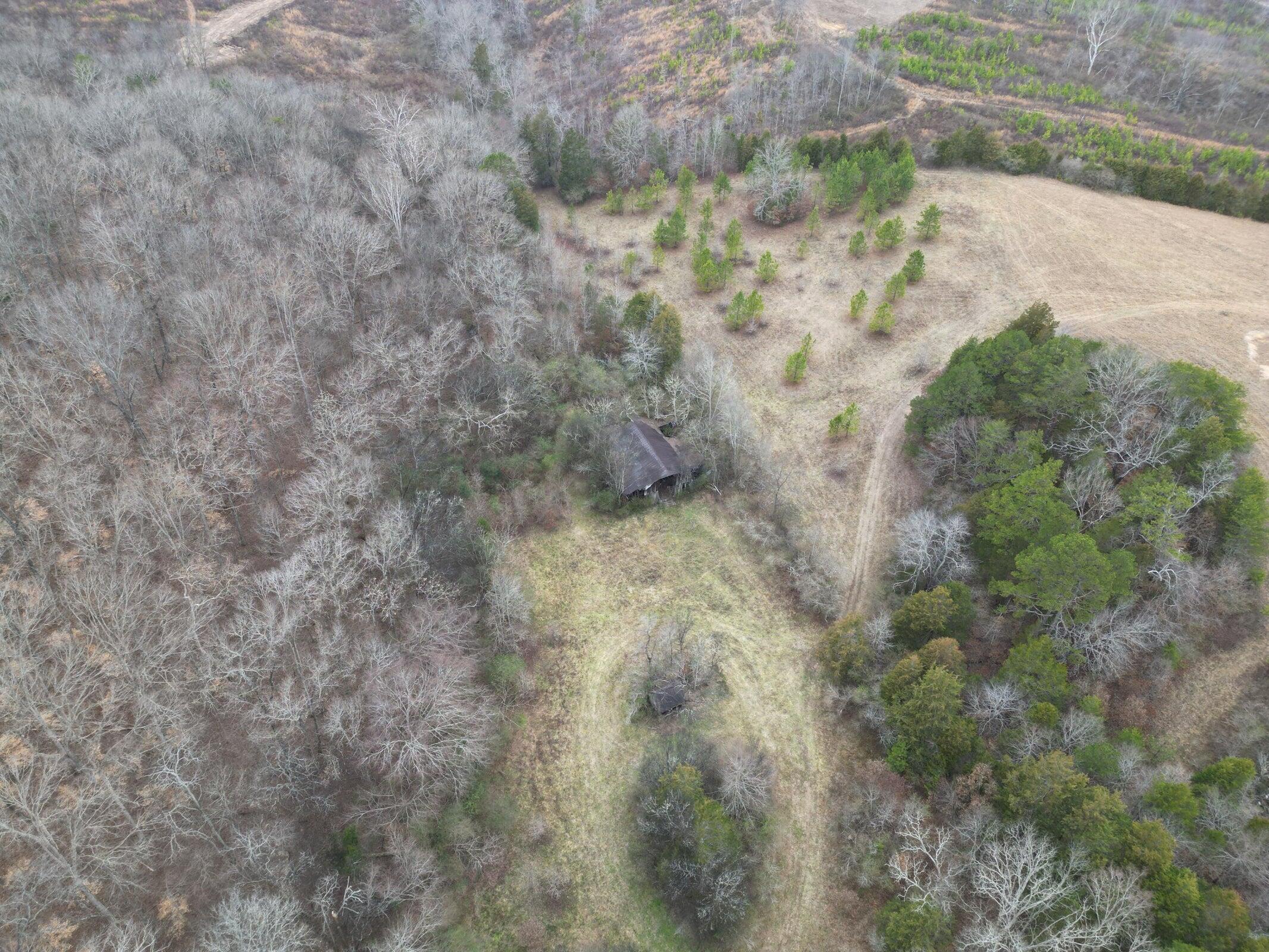 16 Acres Highway 58, Ten Mile, Tennessee image 20