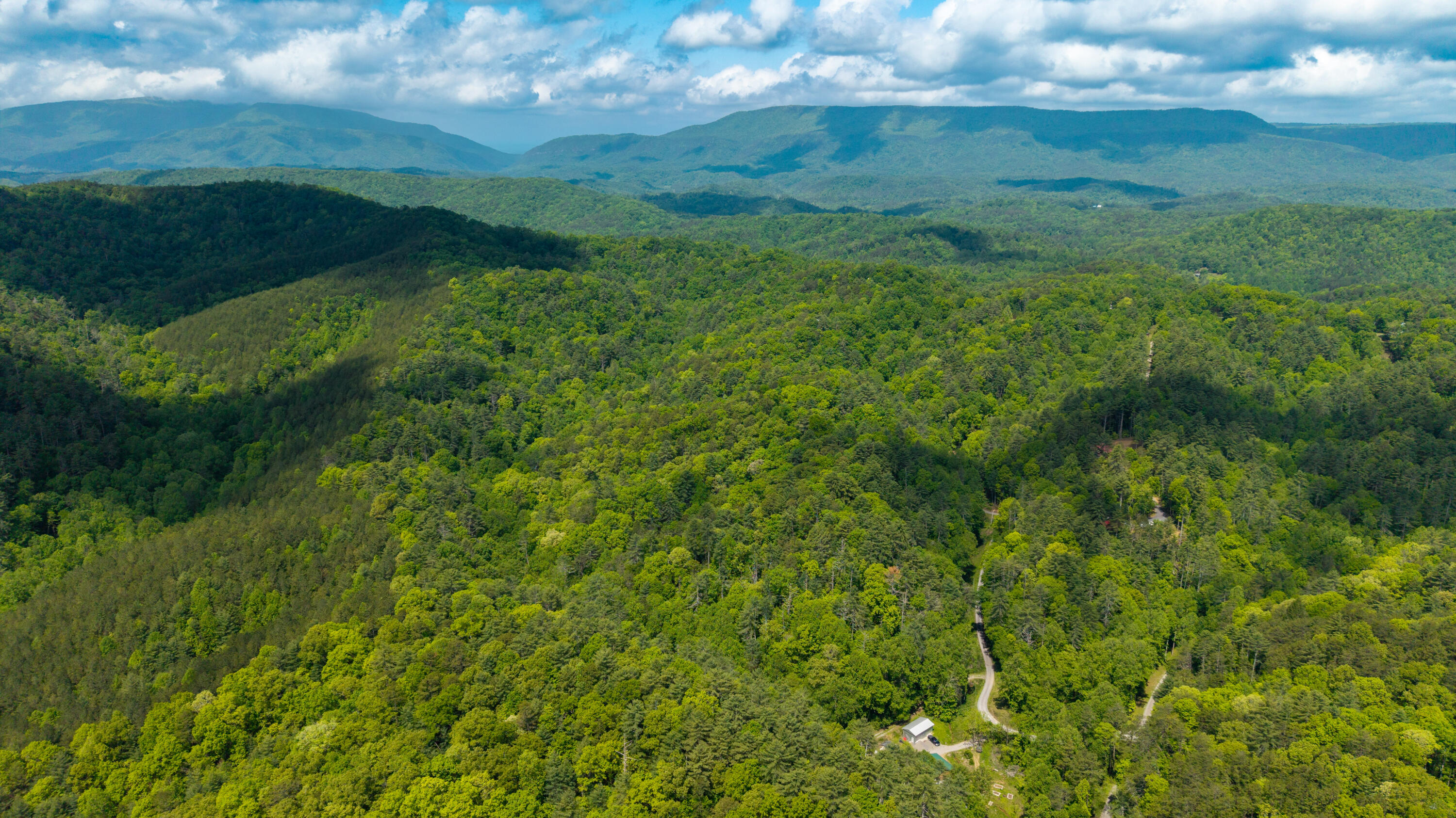 Towee Mountain Drive, Reliance, Tennessee image 3