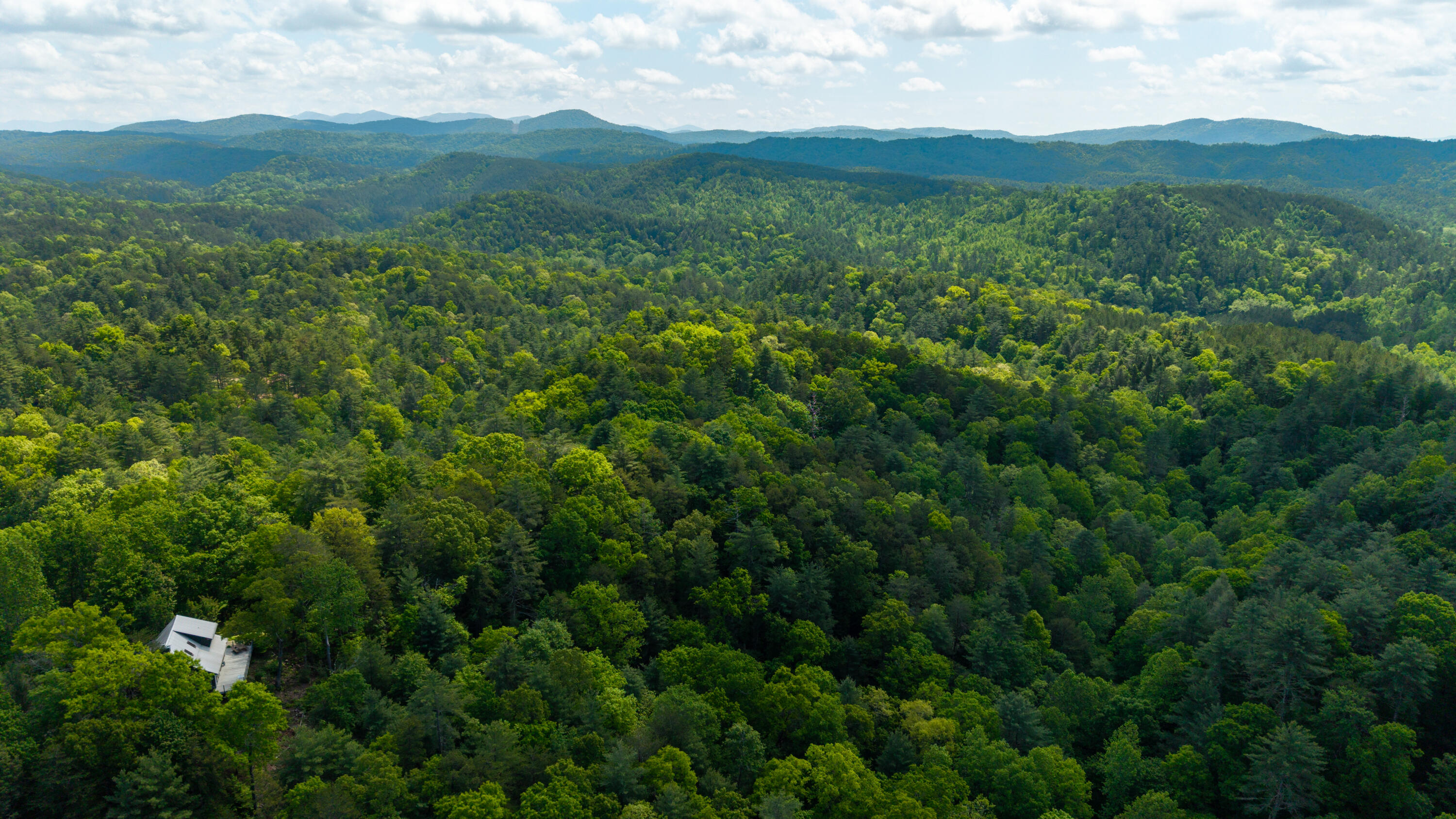 Towee Mountain Drive, Reliance, Tennessee image 9