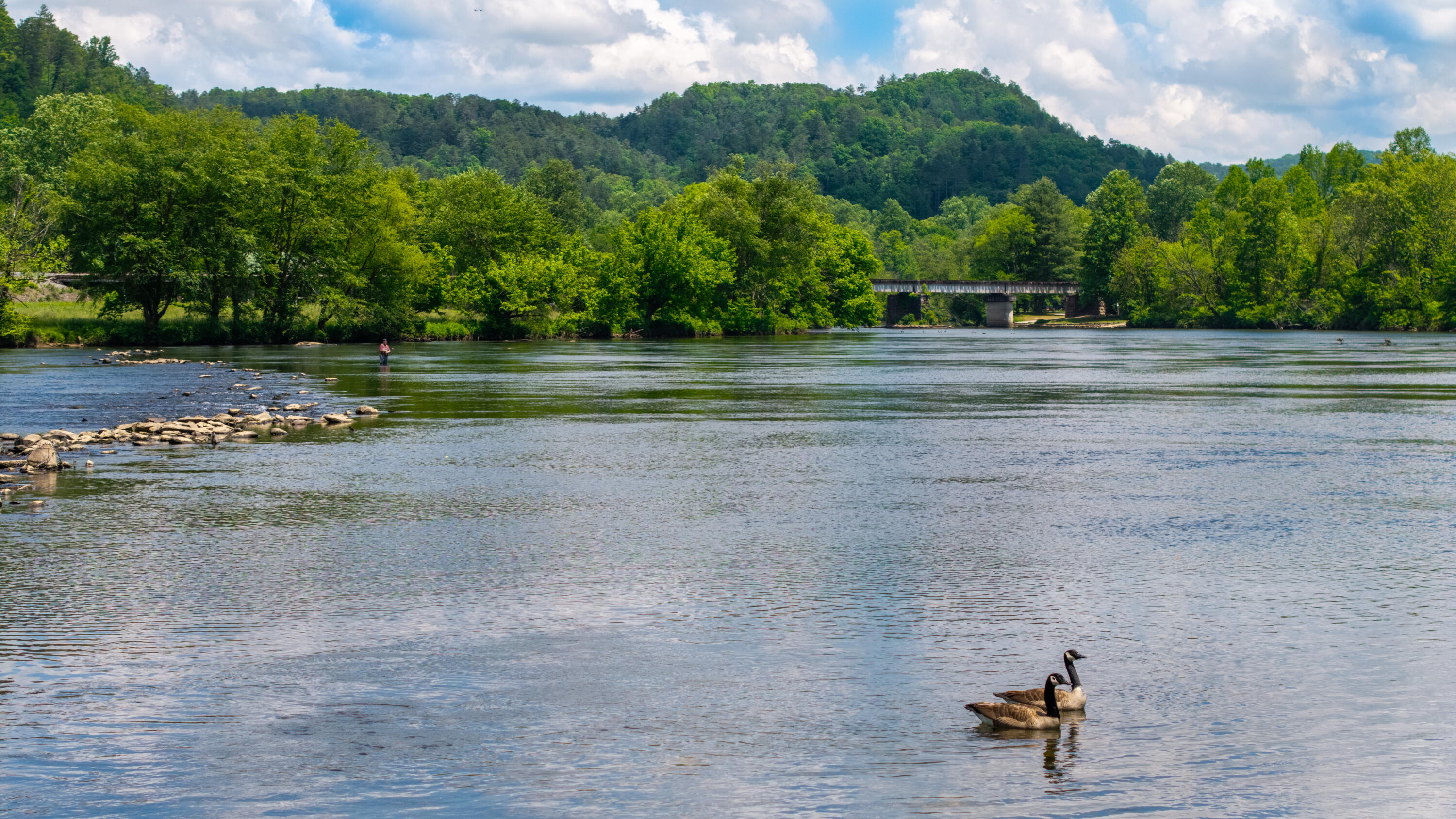 Towee Mountain Drive, Reliance, Tennessee image 32