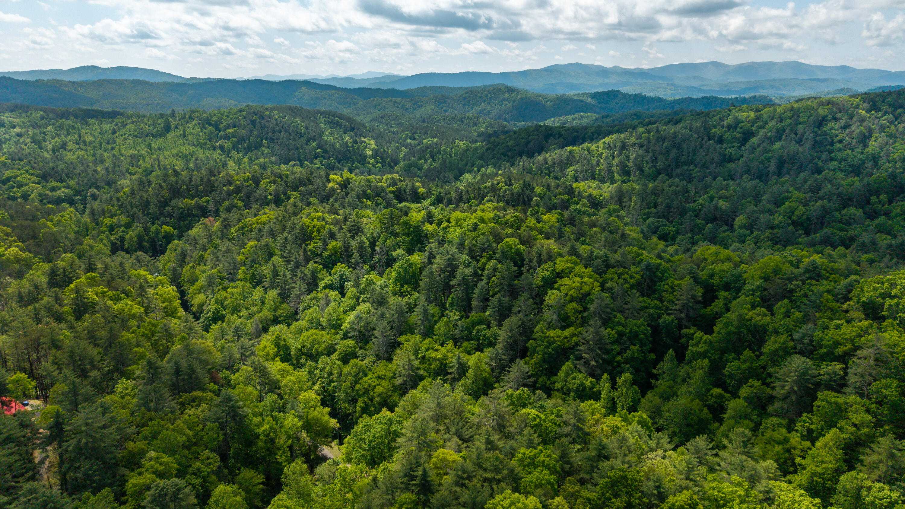 Towee Mountain Drive, Reliance, Tennessee image 14