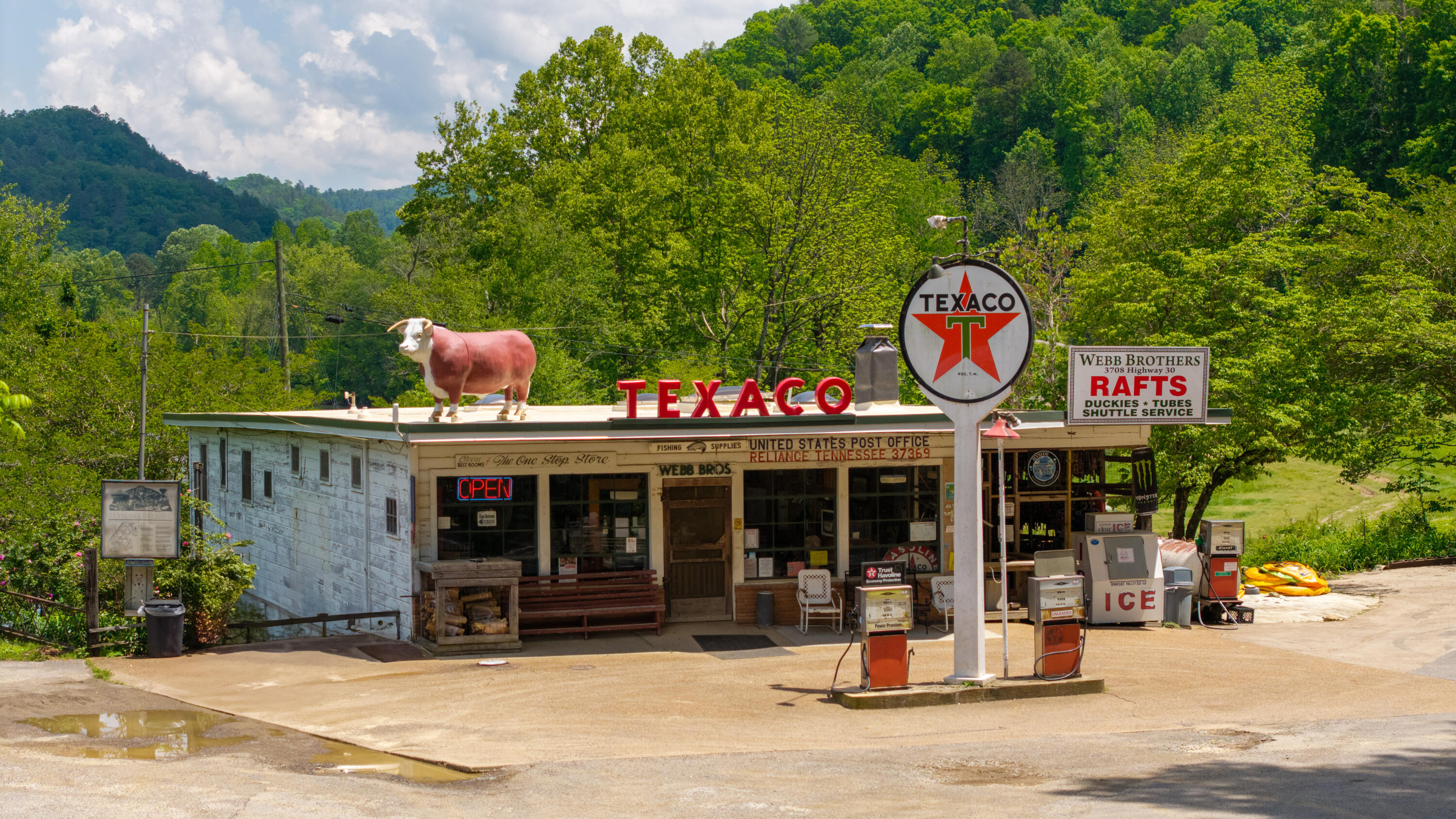 Towee Mountain Drive, Reliance, Tennessee image 34