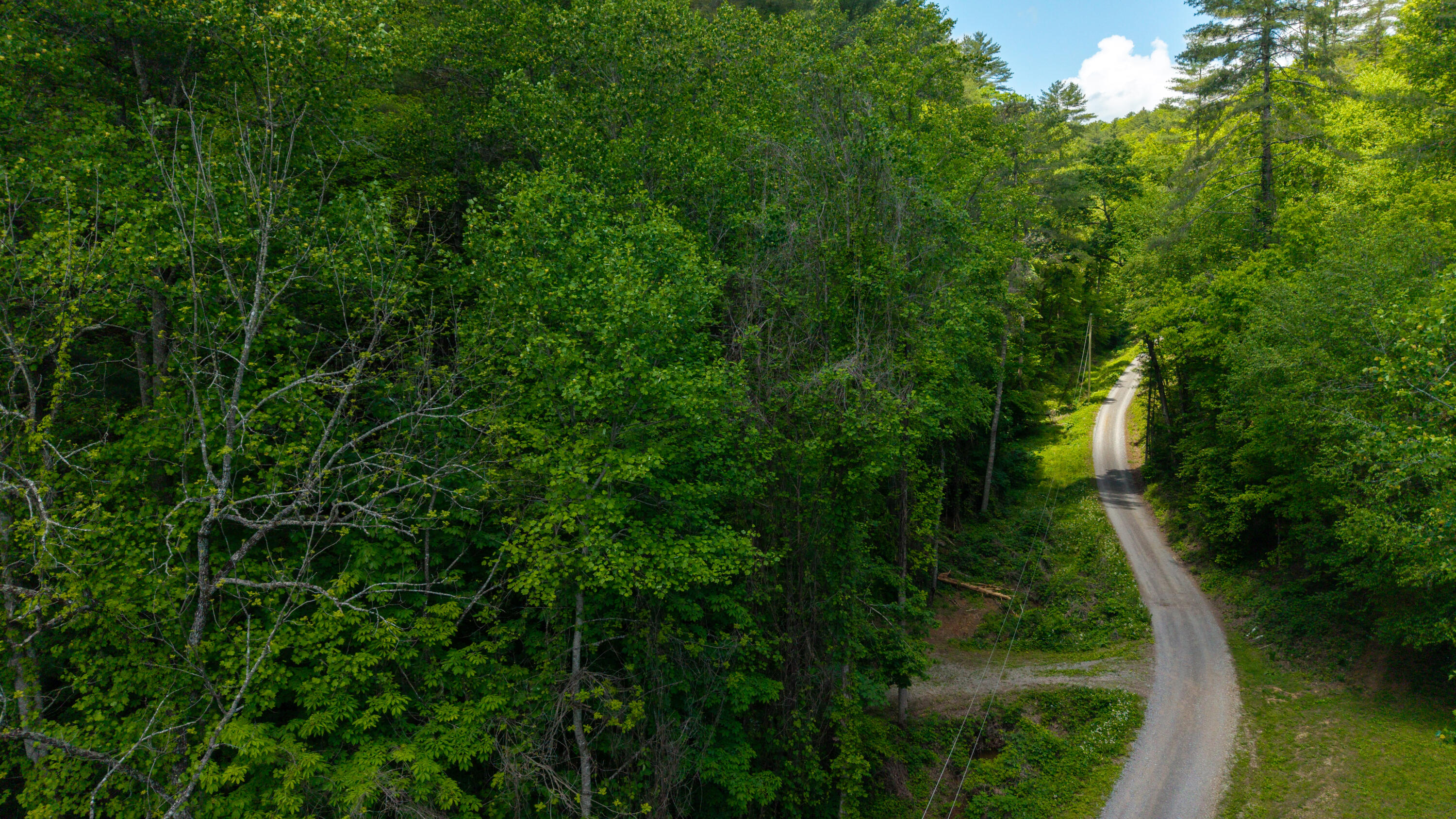 Towee Mountain Drive, Reliance, Tennessee image 21