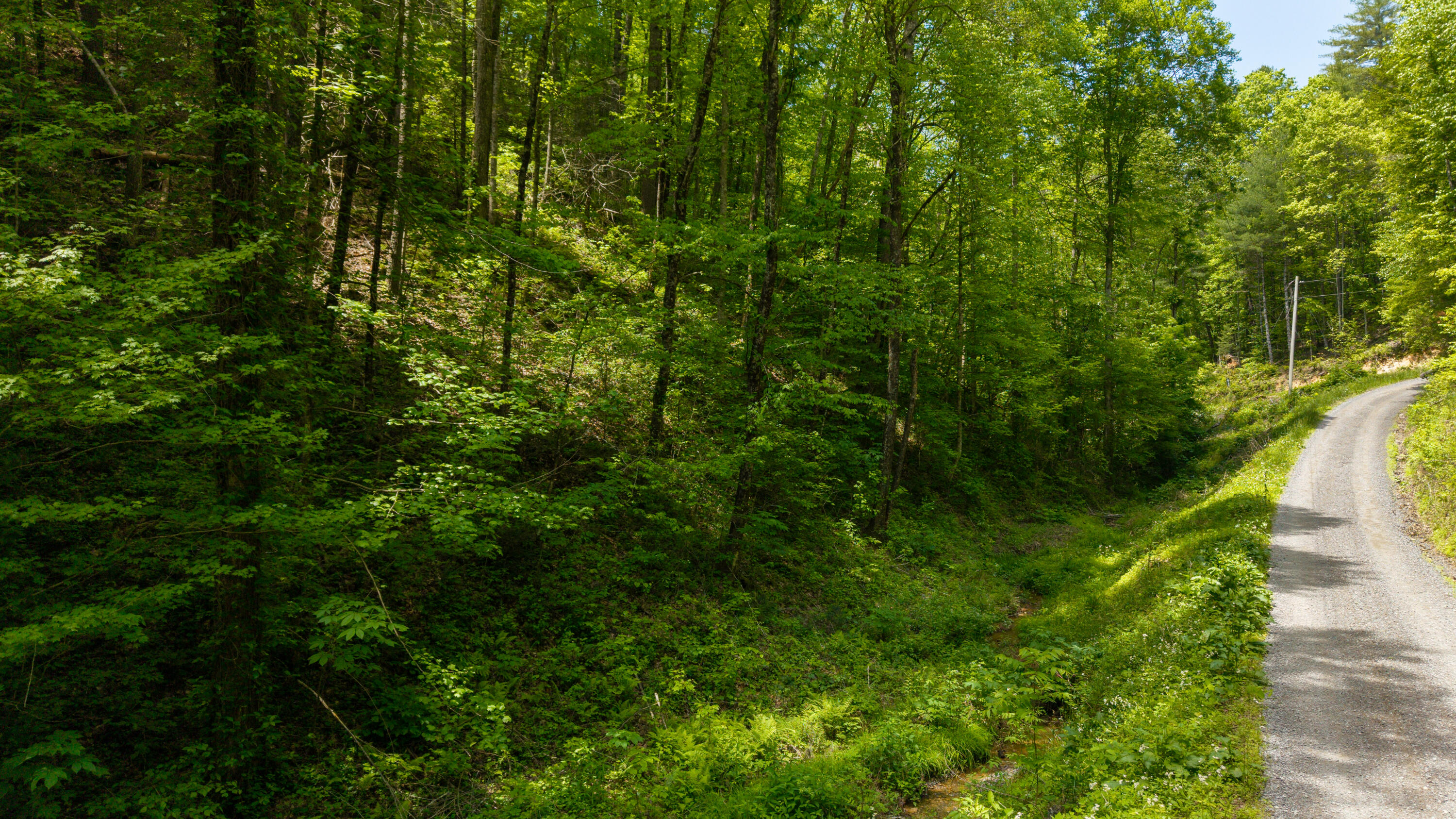 Towee Mountain Drive, Reliance, Tennessee image 20