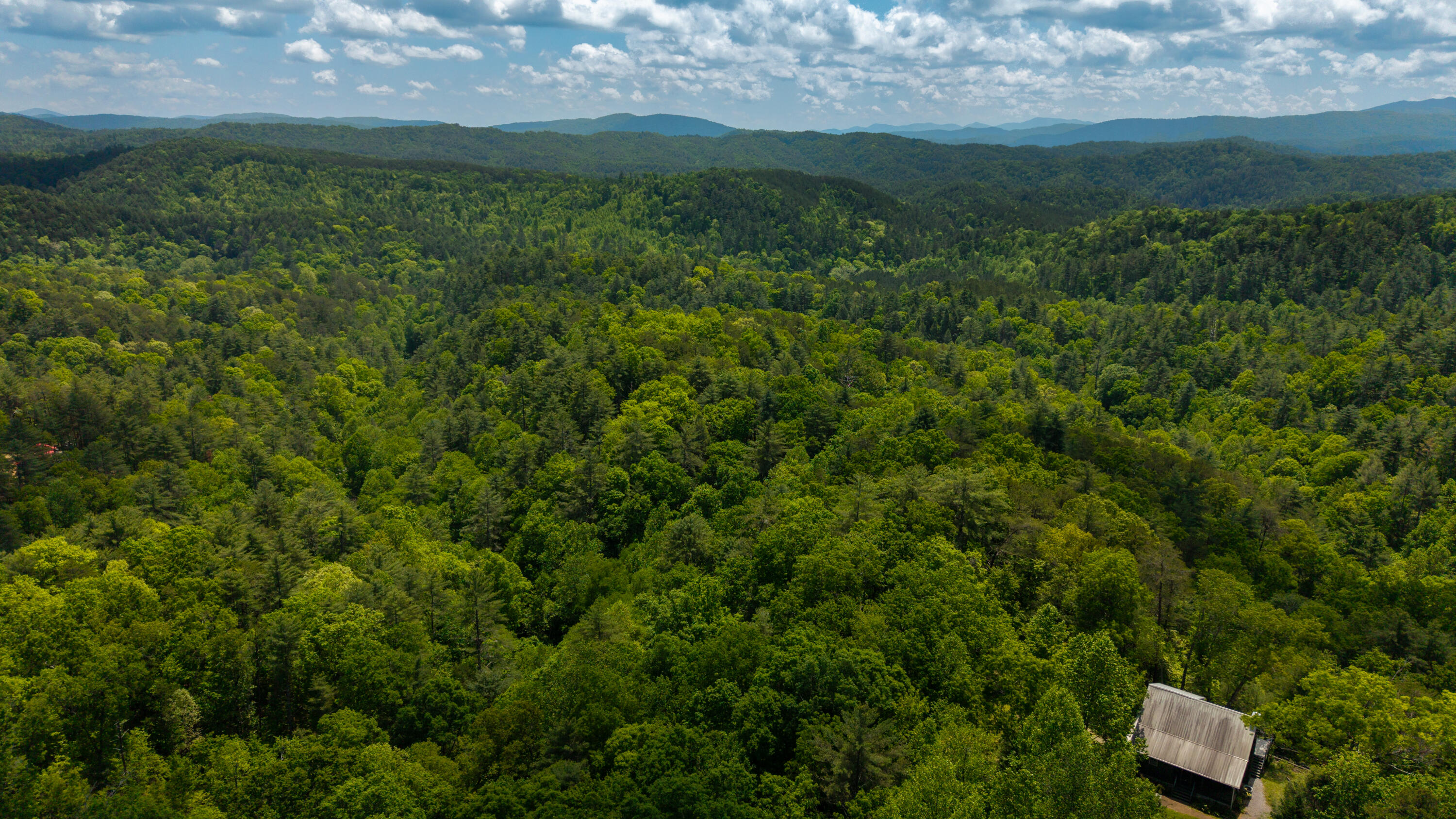 Towee Mountain Drive, Reliance, Tennessee image 11