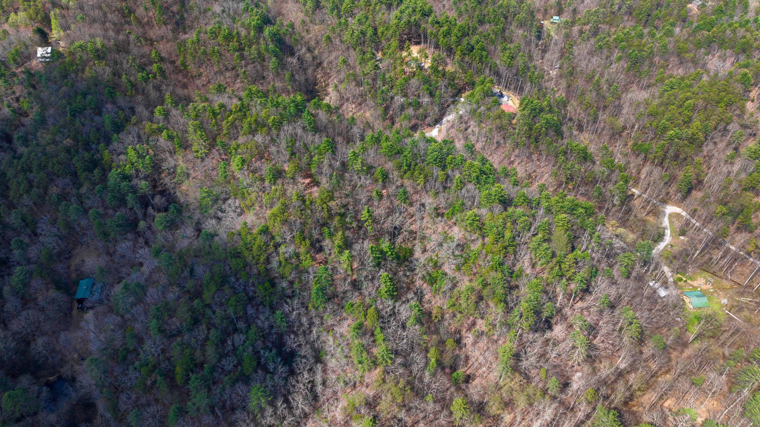 Towee Mountain Drive, Reliance, Tennessee image 15