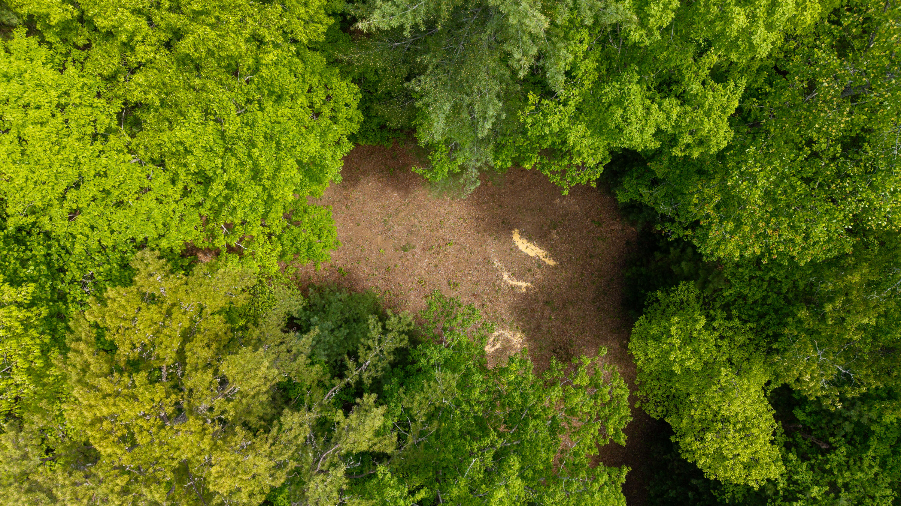 Towee Mountain Drive, Reliance, Tennessee image 18