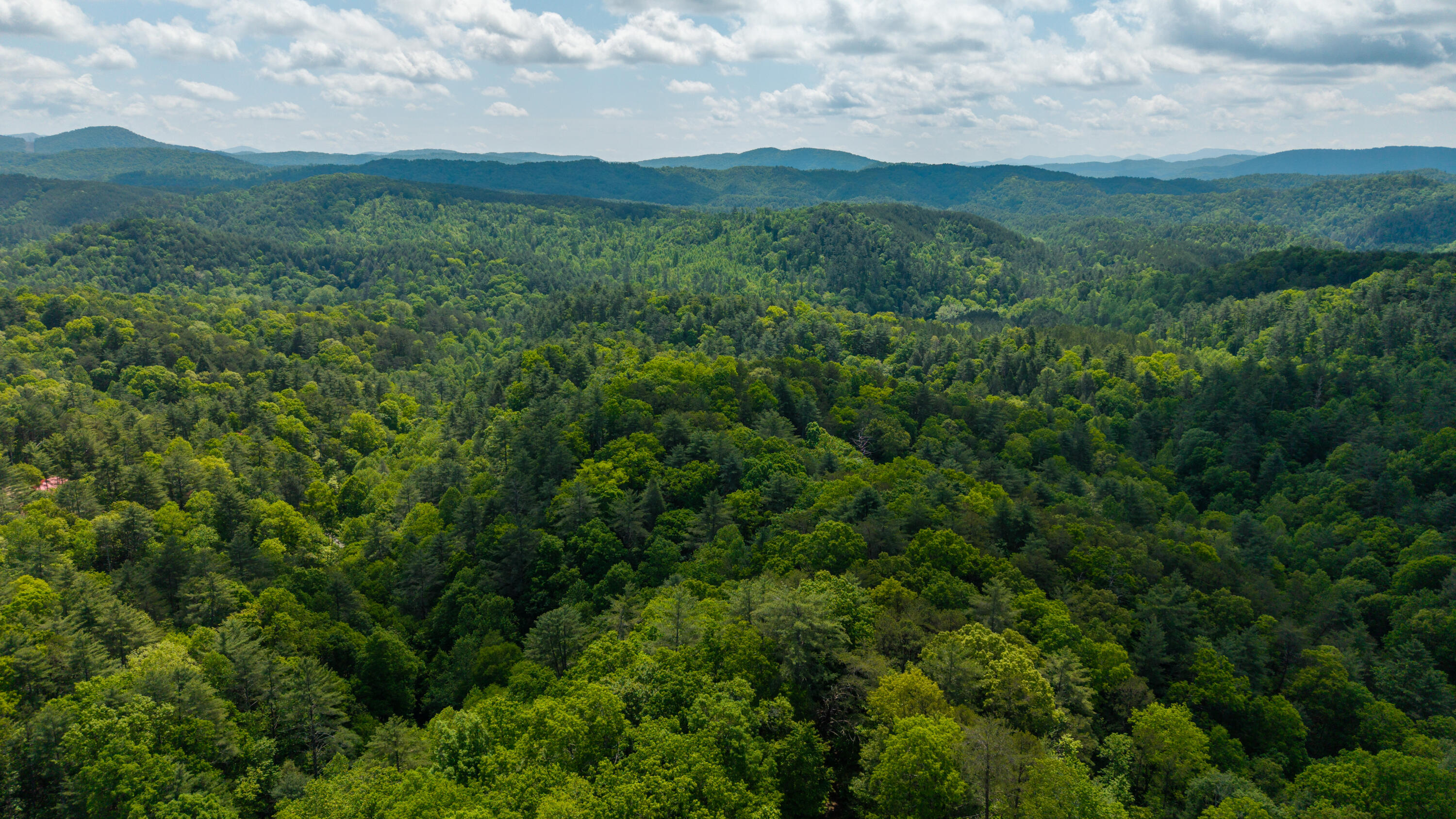 Towee Mountain Drive, Reliance, Tennessee image 13