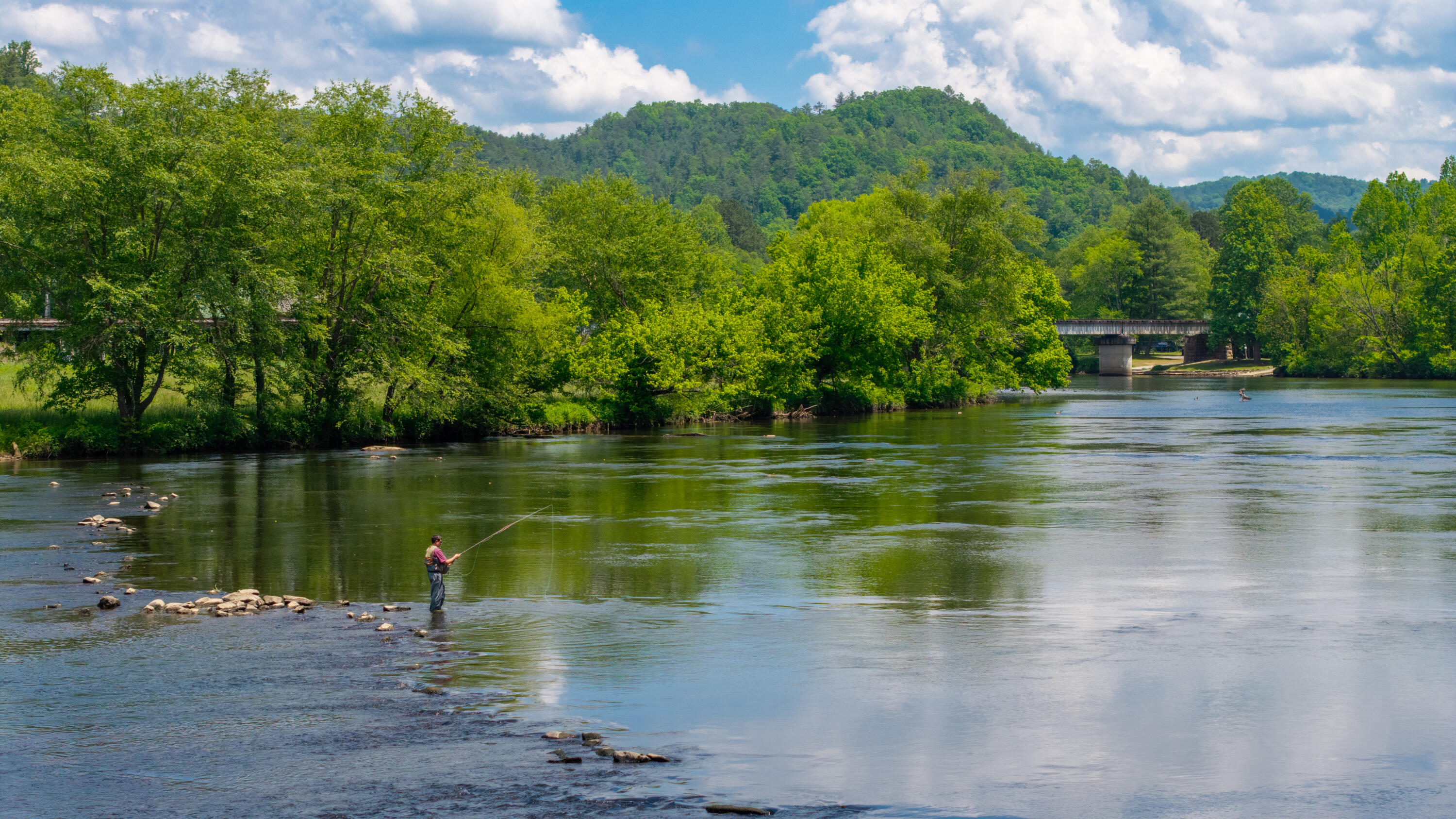 Towee Mountain Drive, Reliance, Tennessee image 31