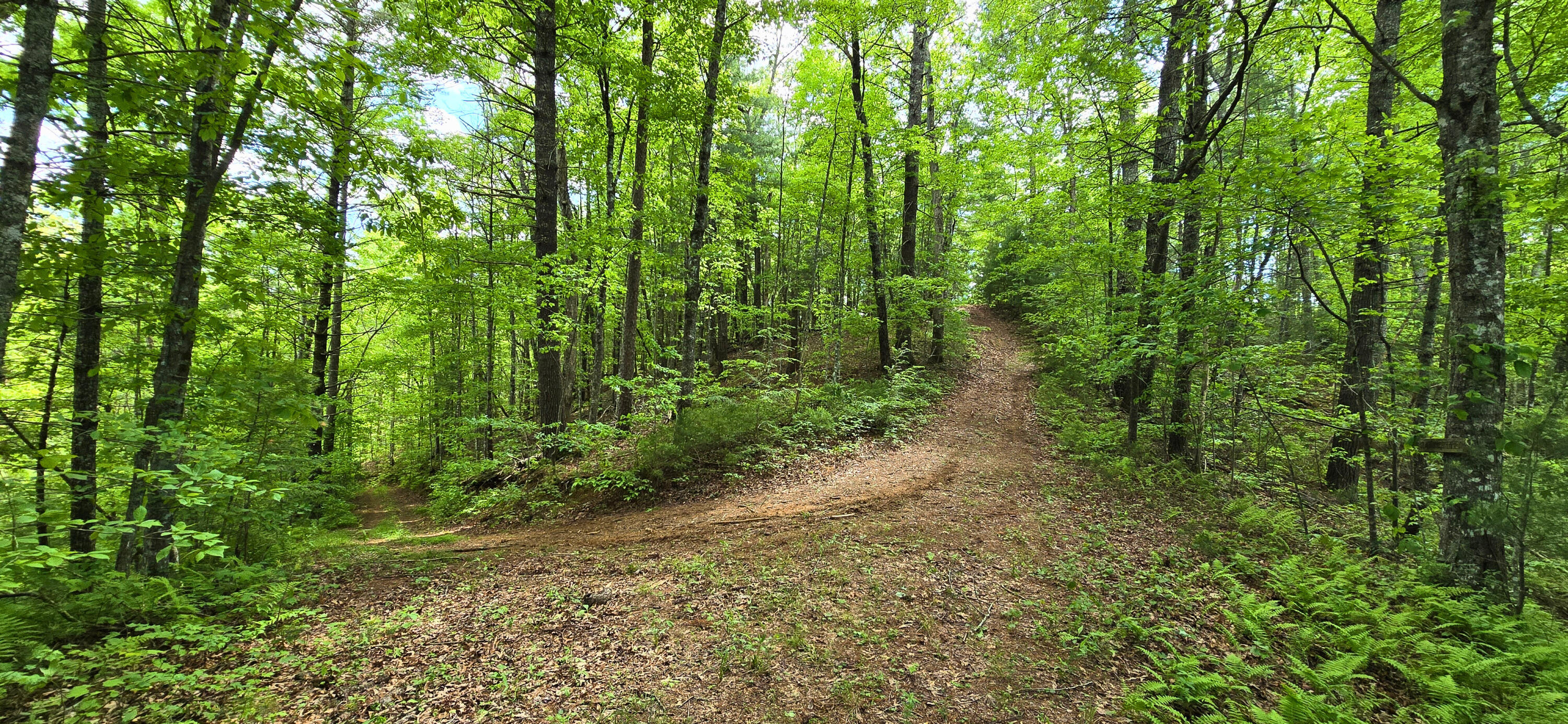 Towee Mountain Drive, Reliance, Tennessee image 26