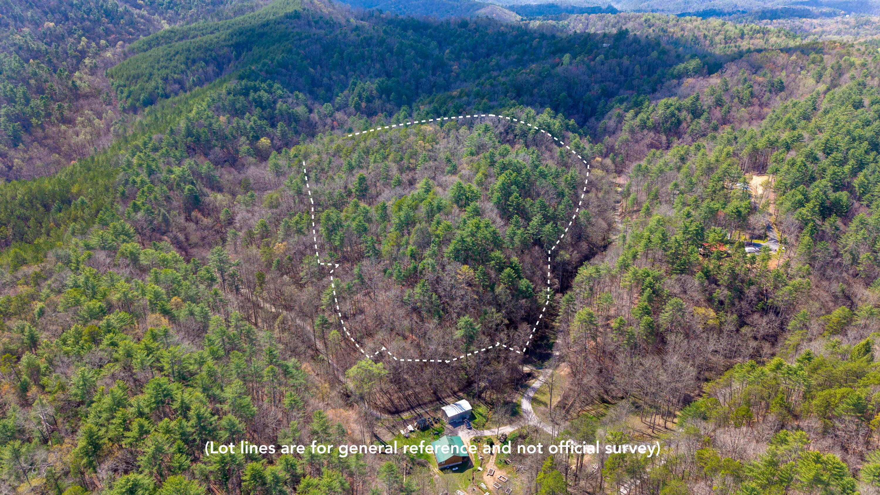 Towee Mountain Drive, Reliance, Tennessee image 4