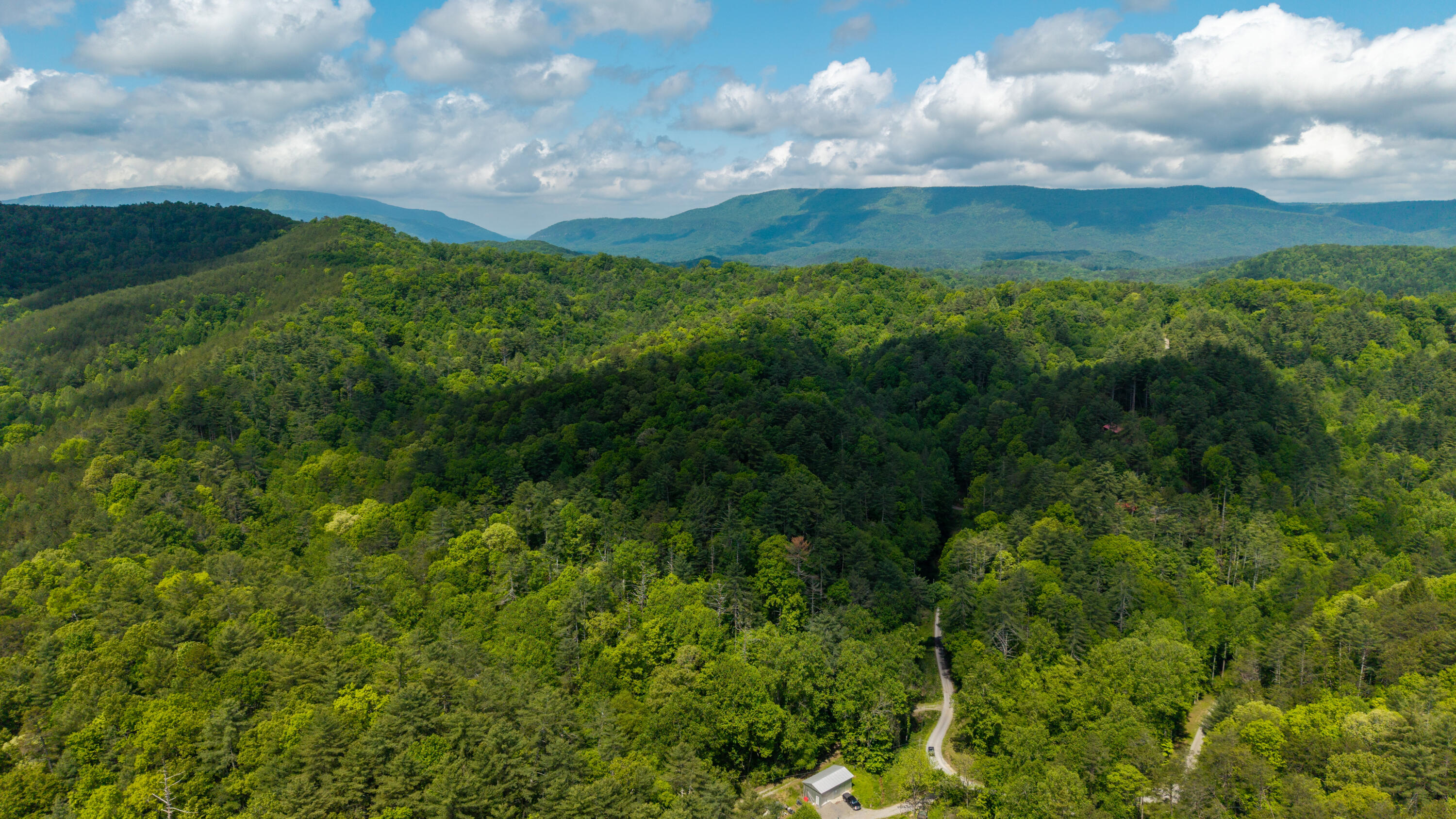 Towee Mountain Drive, Reliance, Tennessee image 7