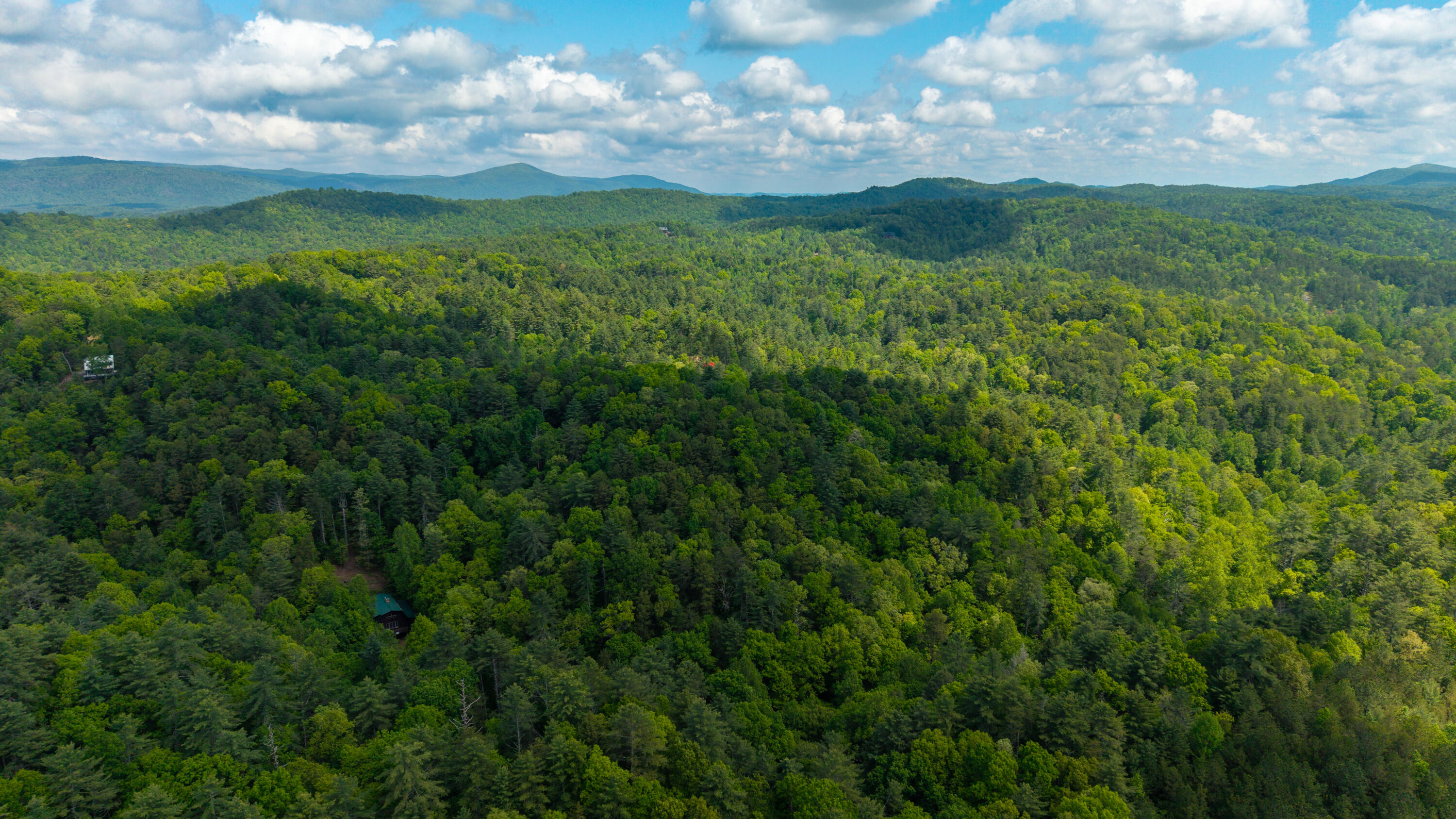 Towee Mountain Drive, Reliance, Tennessee image 8