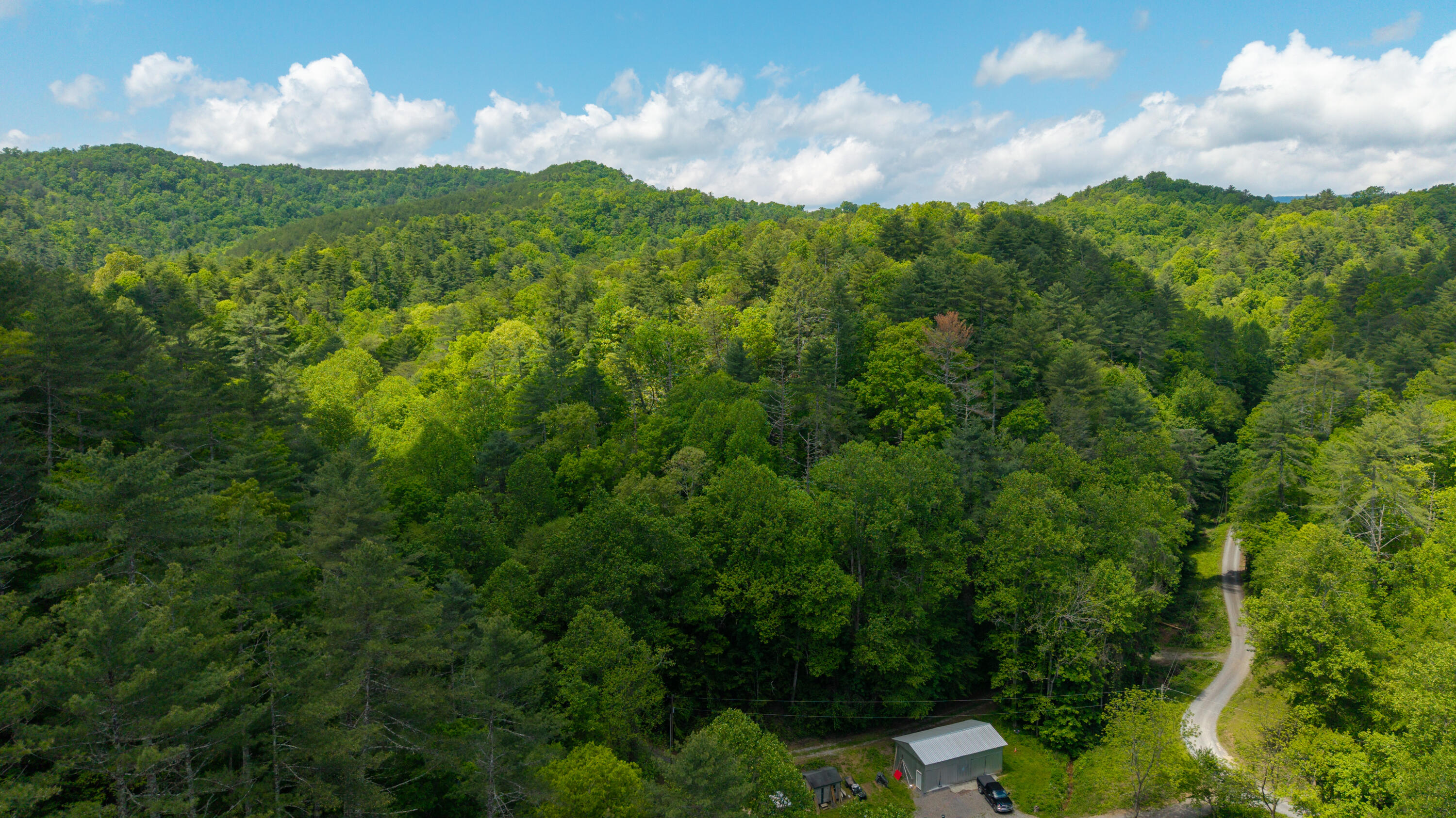 Towee Mountain Drive, Reliance, Tennessee image 6