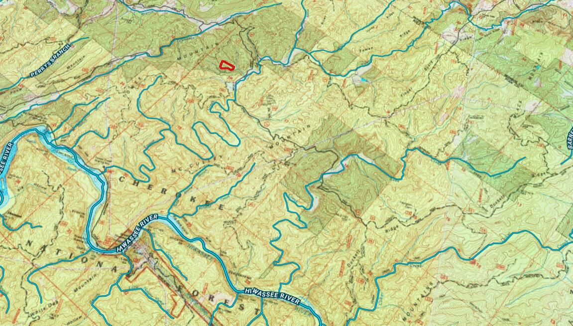 Towee Mountain Drive, Reliance, Tennessee image 39