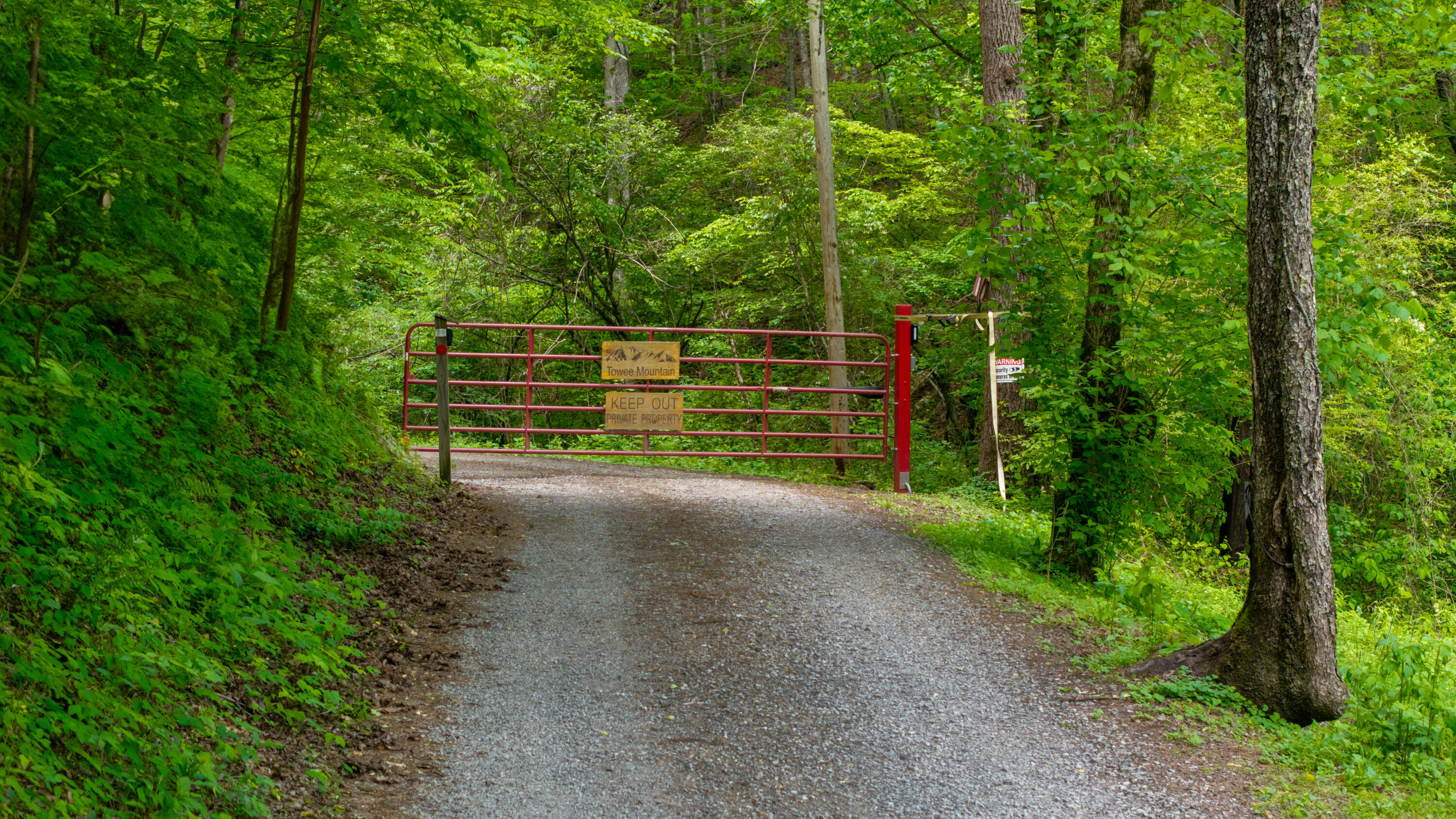 Towee Mountain Drive, Reliance, Tennessee image 29