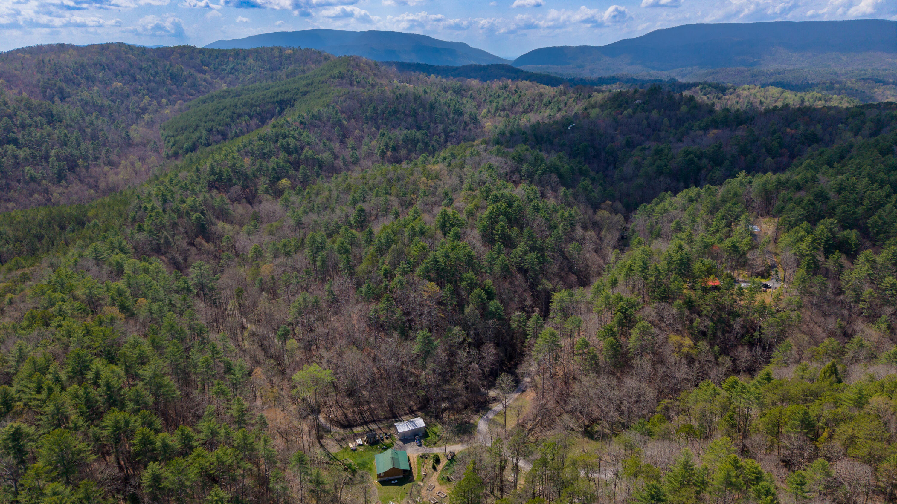 Towee Mountain Drive, Reliance, Tennessee image 5