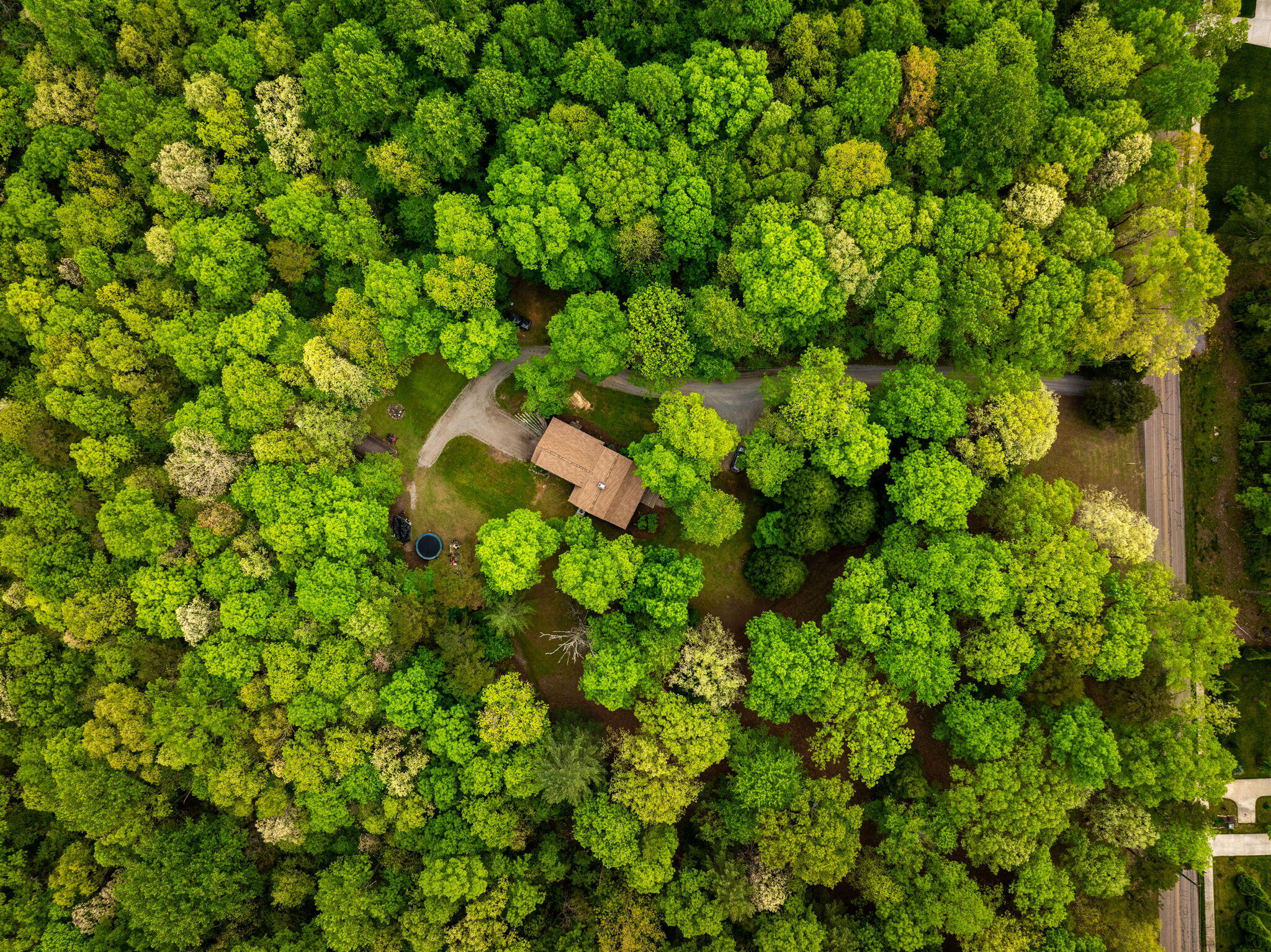 4535 Shackleford Ridge Road, Signal Mountain, Tennessee image 4