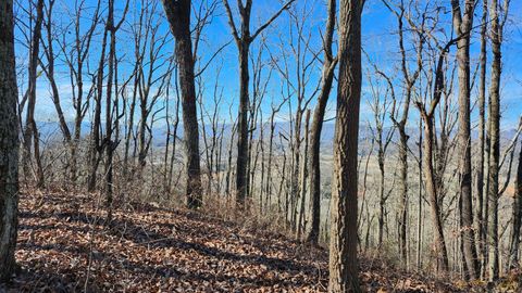 Photo of 496 Hancock (5-Acre Portion) Road, Jasper, TN 37347 (MLS # 1525537)