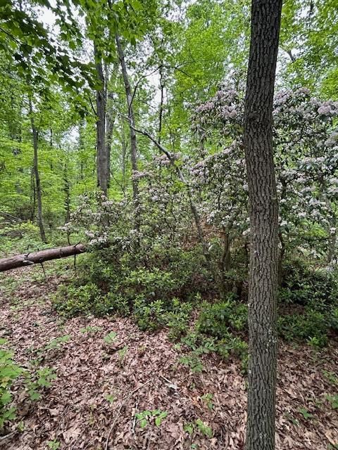 Tiny photo for 0 Joe Groves Road, Pikeville, TN 37367 (MLS # 1529392)