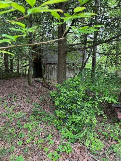 Tiny photo for 0 Joe Groves Road, Pikeville, TN 37367 (MLS # 1529392)