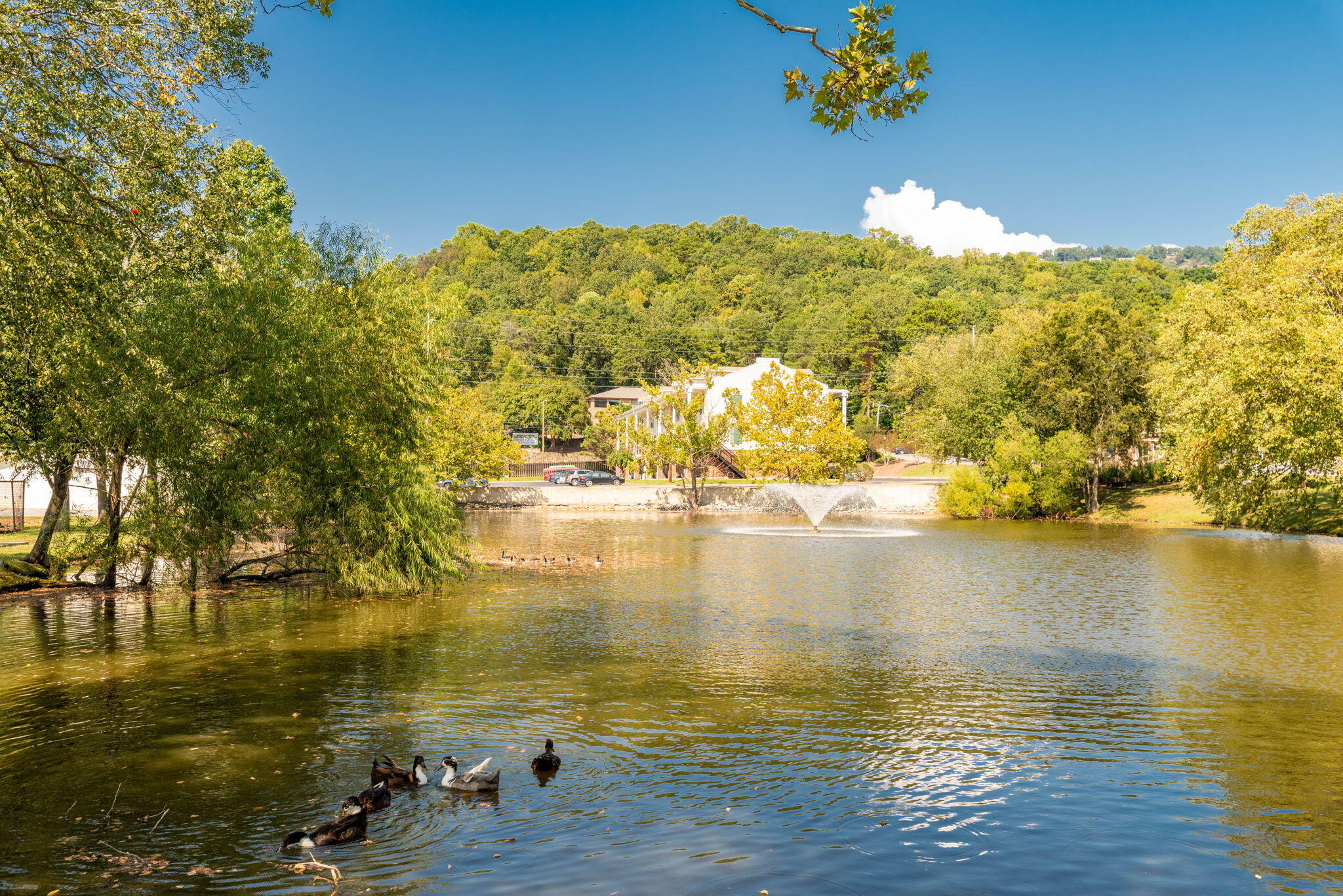 900 Mountain Creek Road #363, Chattanooga, Tennessee image 18