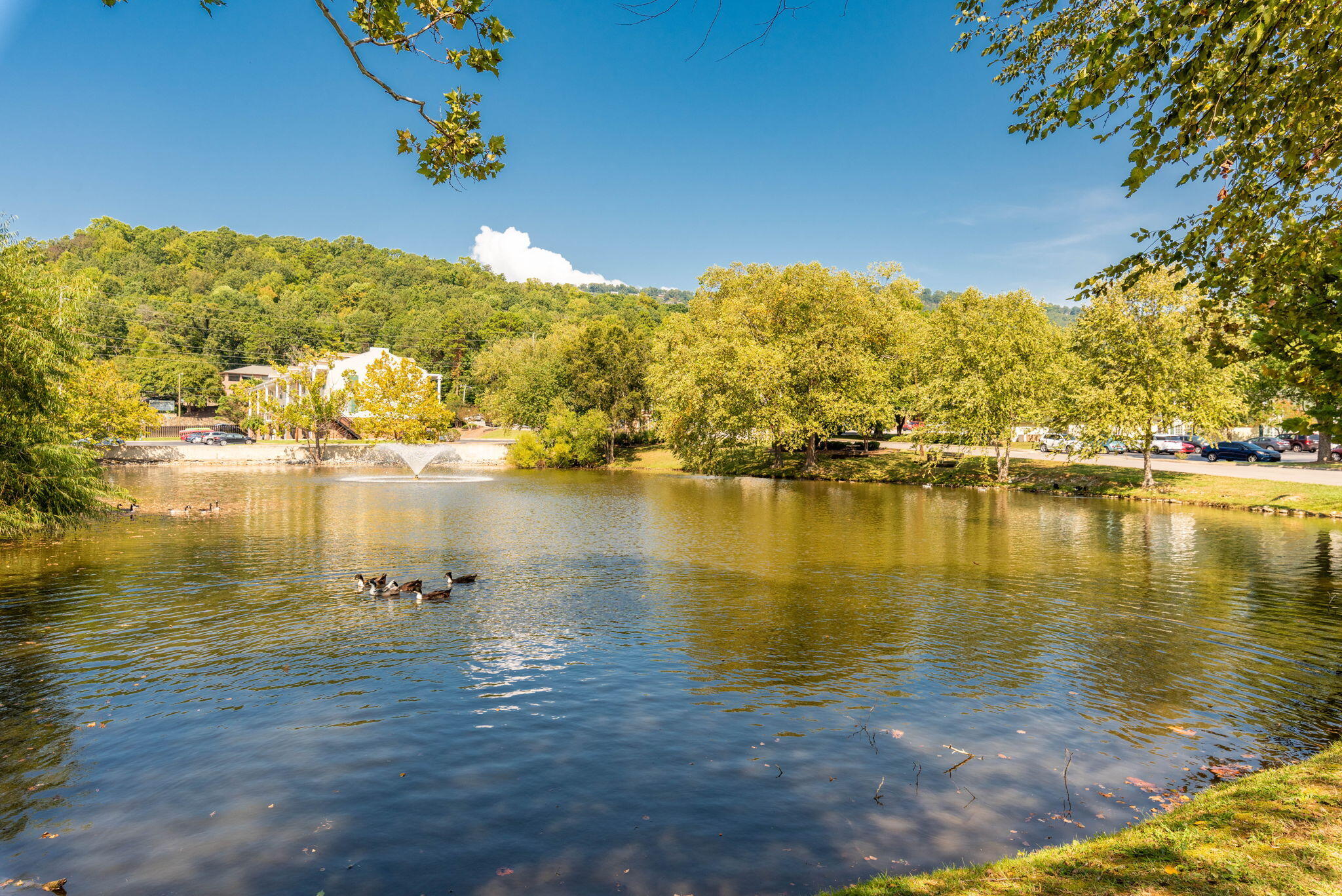 900 Mountain Creek Road #363, Chattanooga, Tennessee image 19