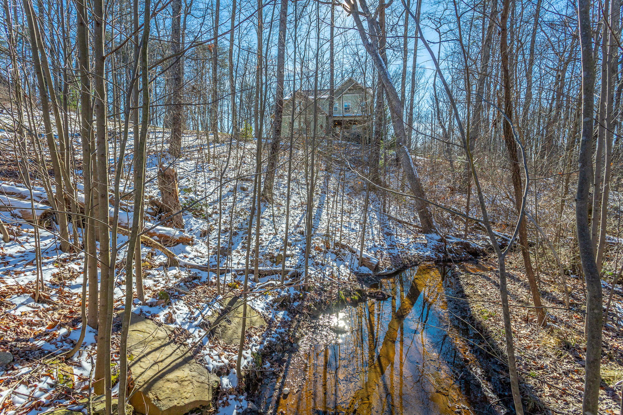 1329 Tuckahoe Pass Pass, Signal Mountain, Tennessee image 50