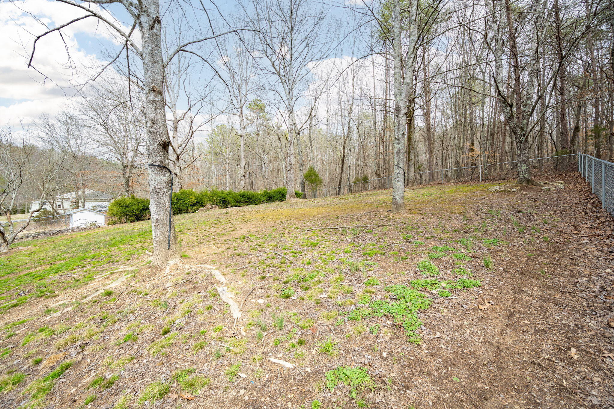 489 Ashley Lane, Dayton, Tennessee image 26