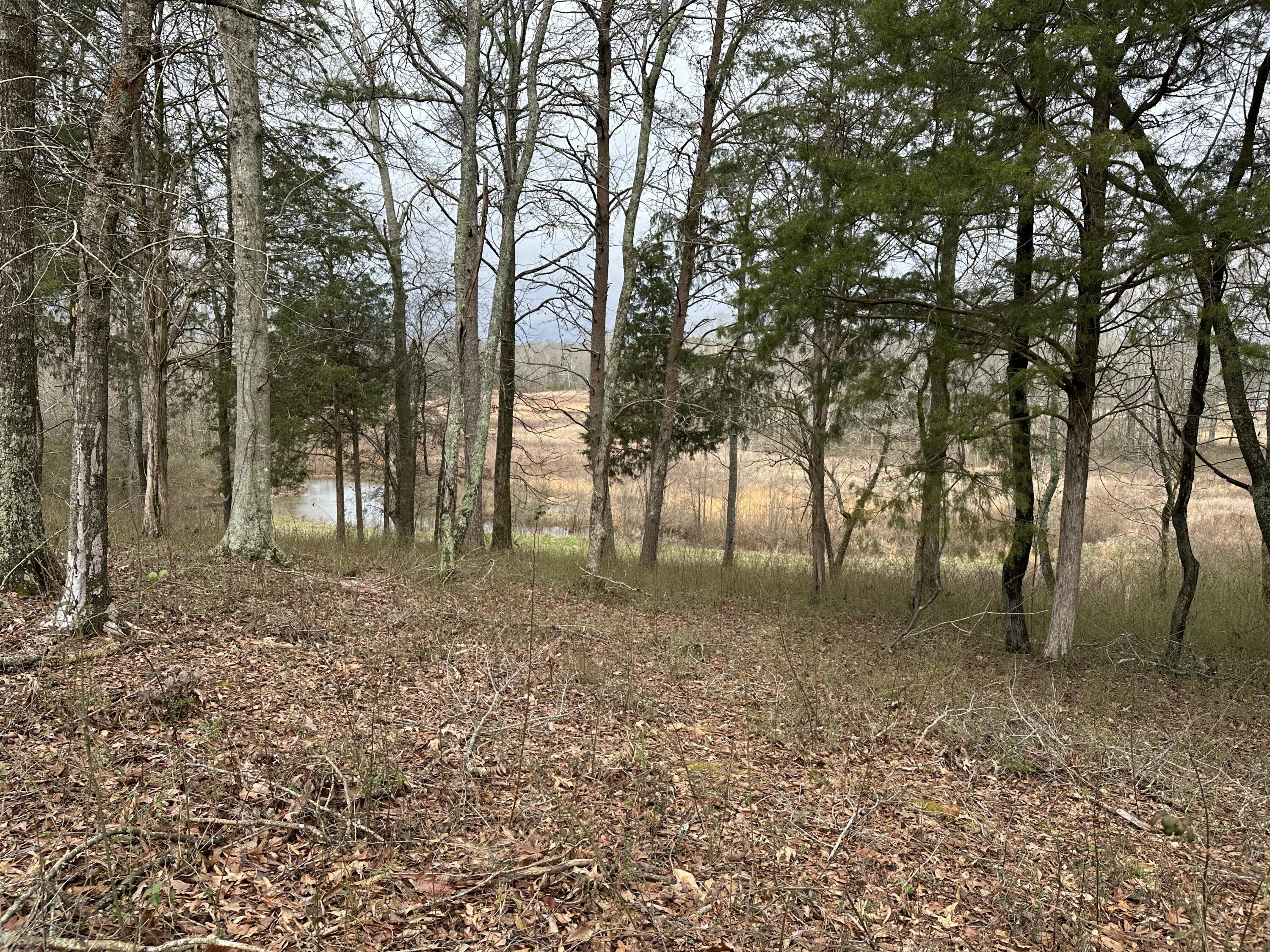 57 Captains Way, Jasper, Tennessee image 11